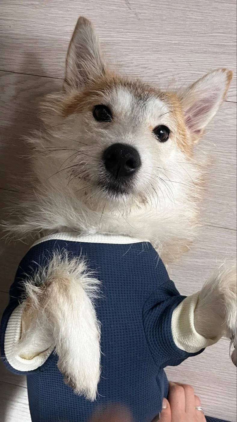 KakaoTalk_20250917_144302478_09.jpg