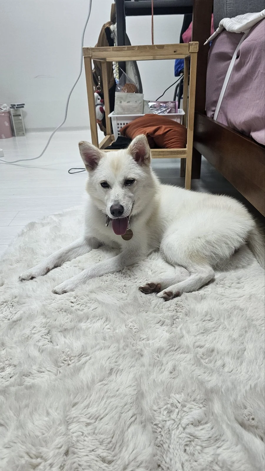 KakaoTalk_20250917_164107058_03.jpg