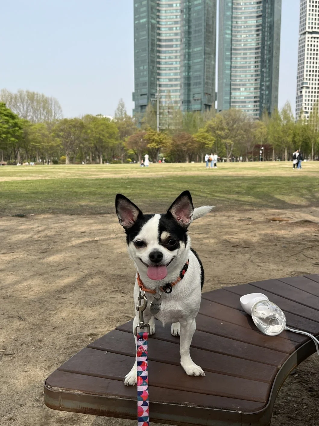 KakaoTalk_20250708_145258262_03.jpg