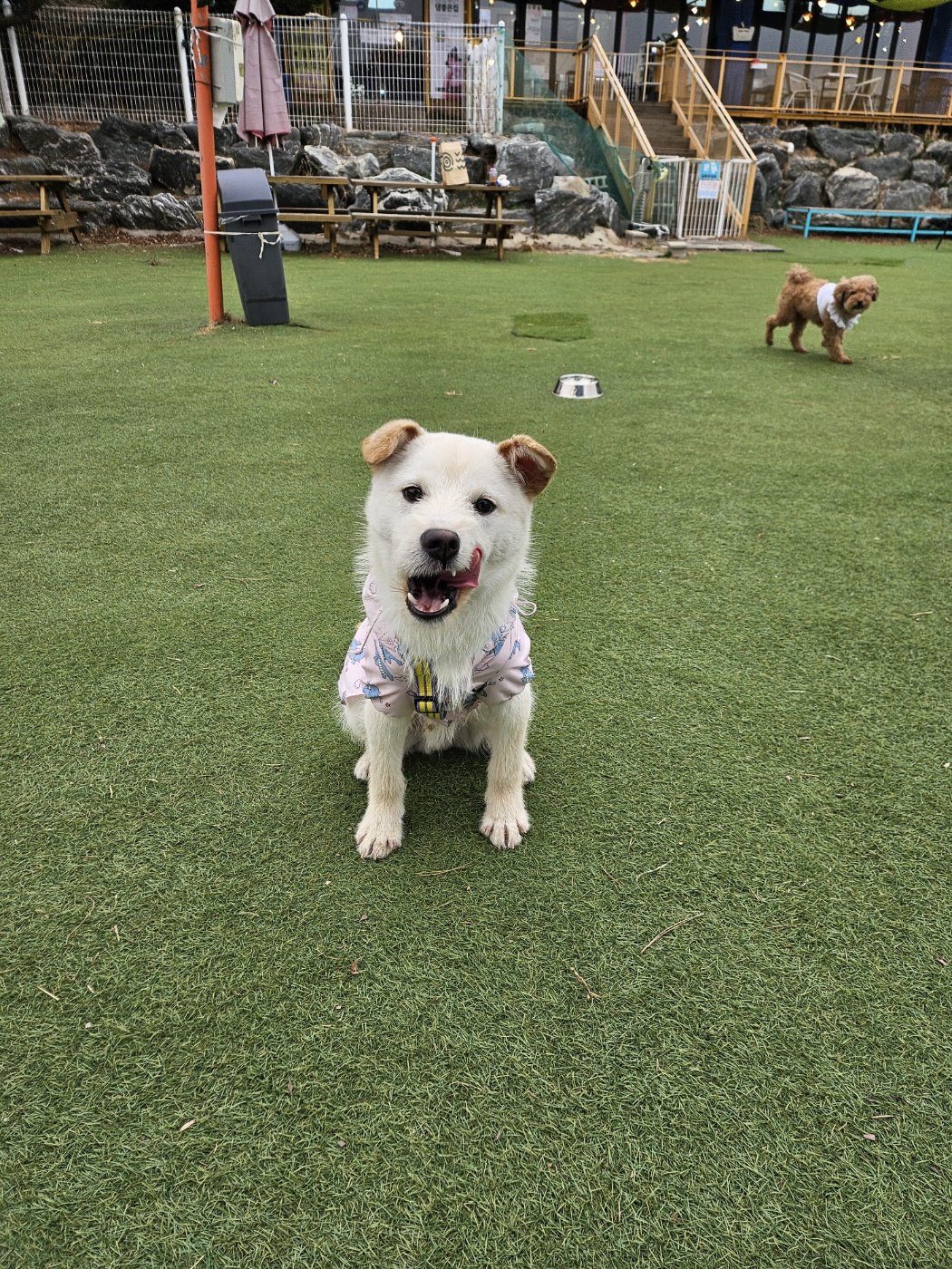 Lennox_PIC_006.jpg