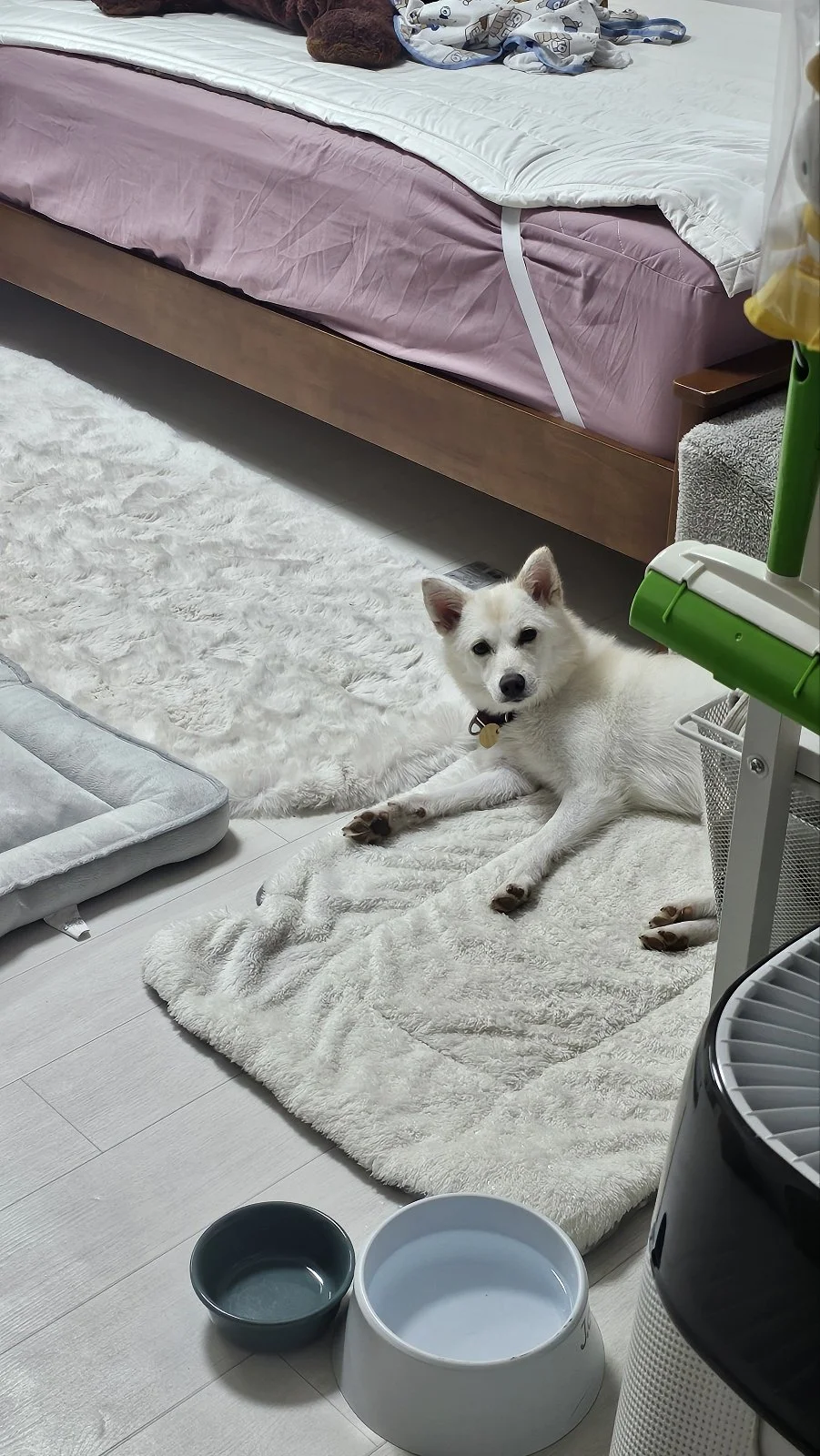 KakaoTalk_20250917_164107058_01.jpg