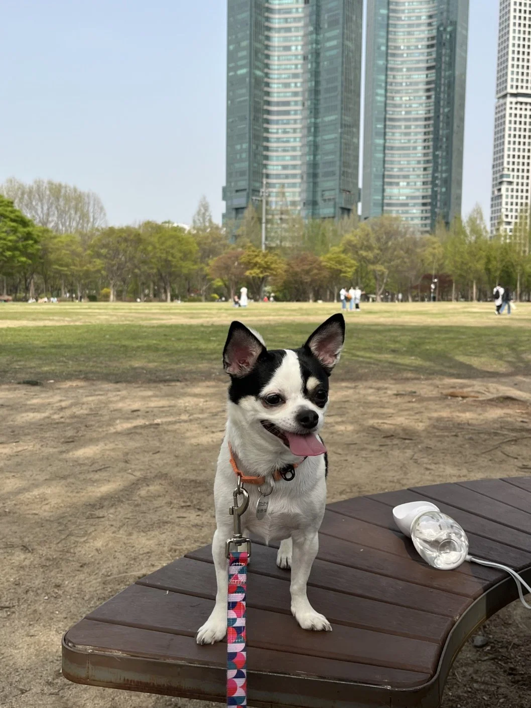KakaoTalk_20250708_145258262_04.jpg