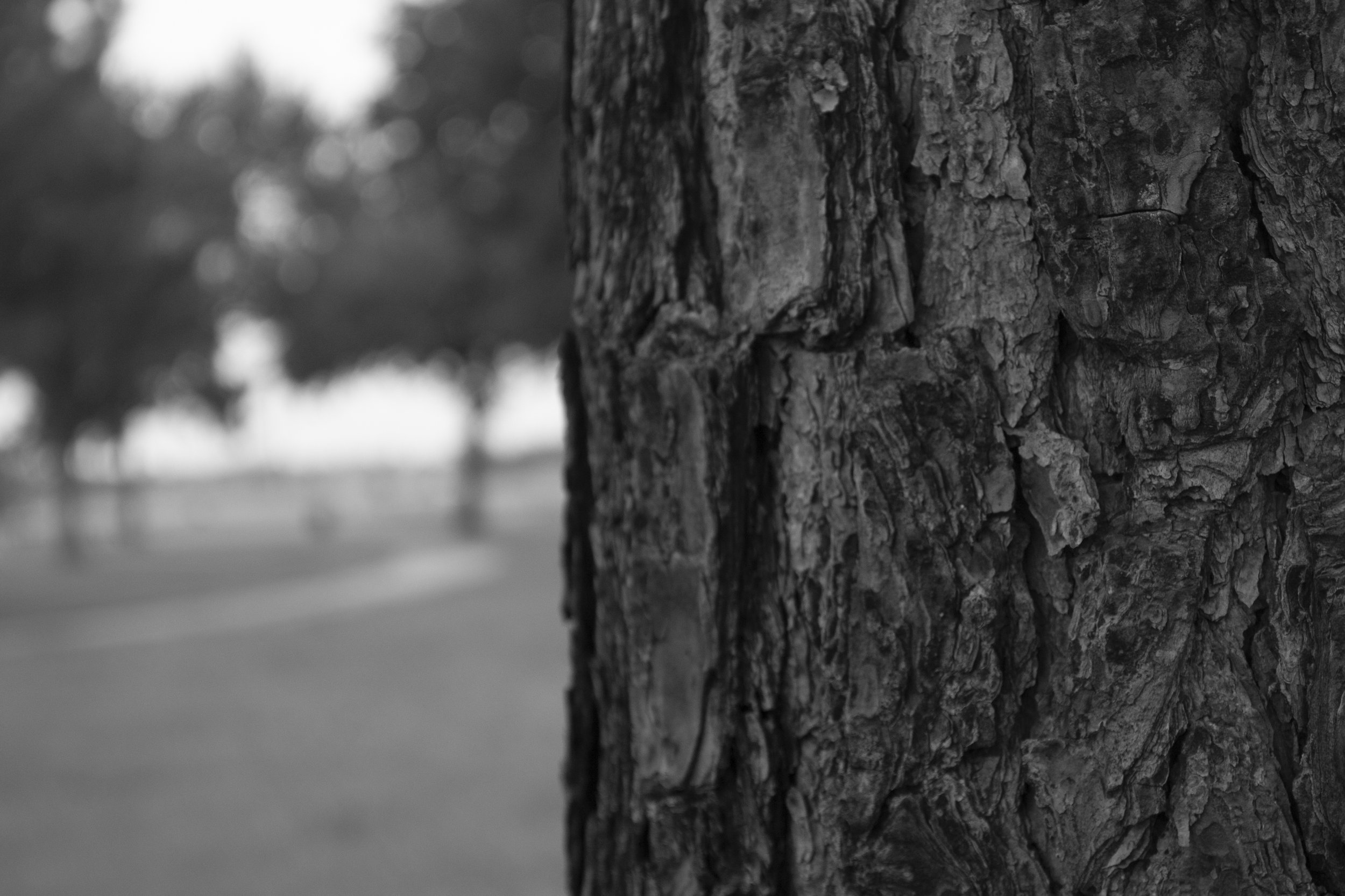 Documenting a Place1.jpg