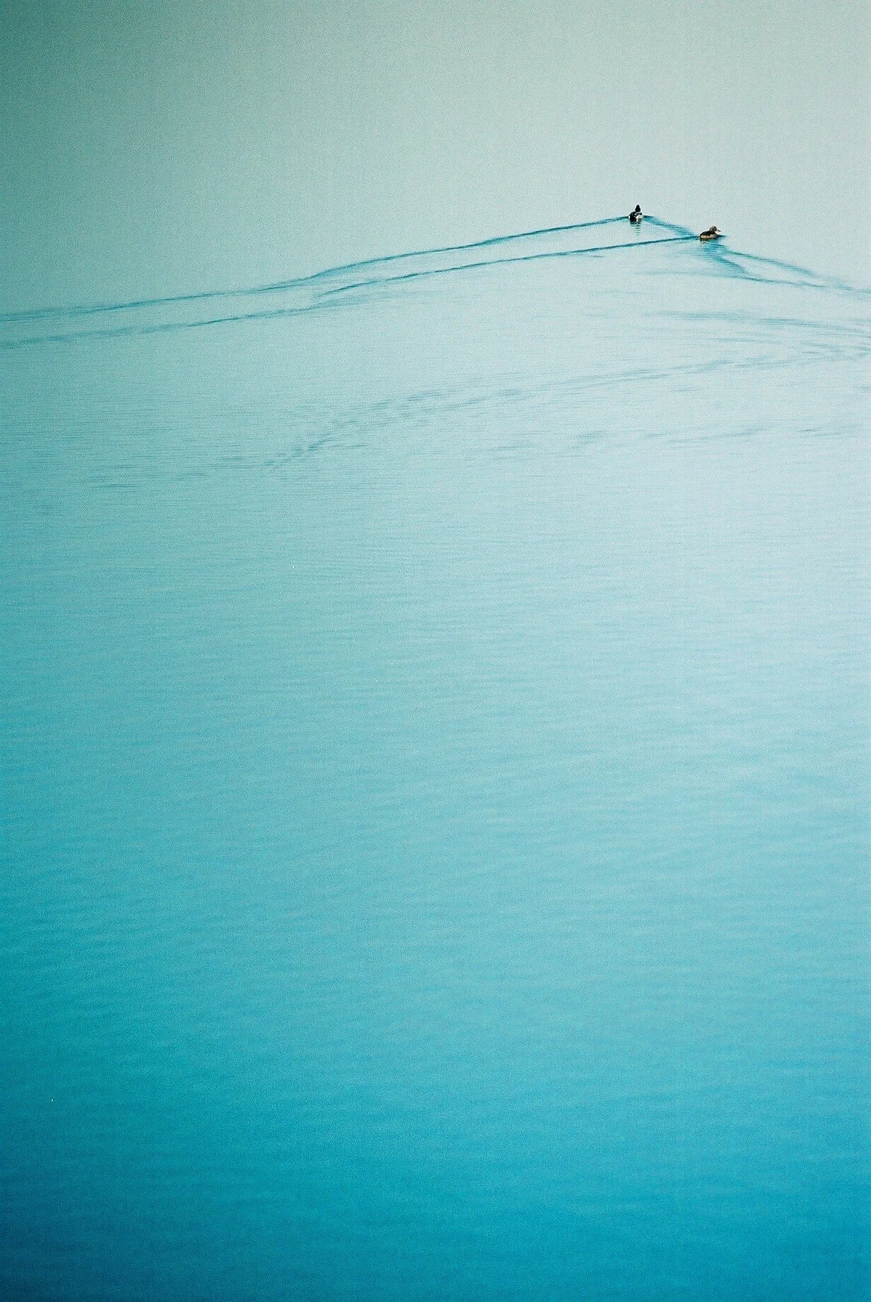 sander-heezen-fotograaf-amsterdam-natuur-water.jpg
