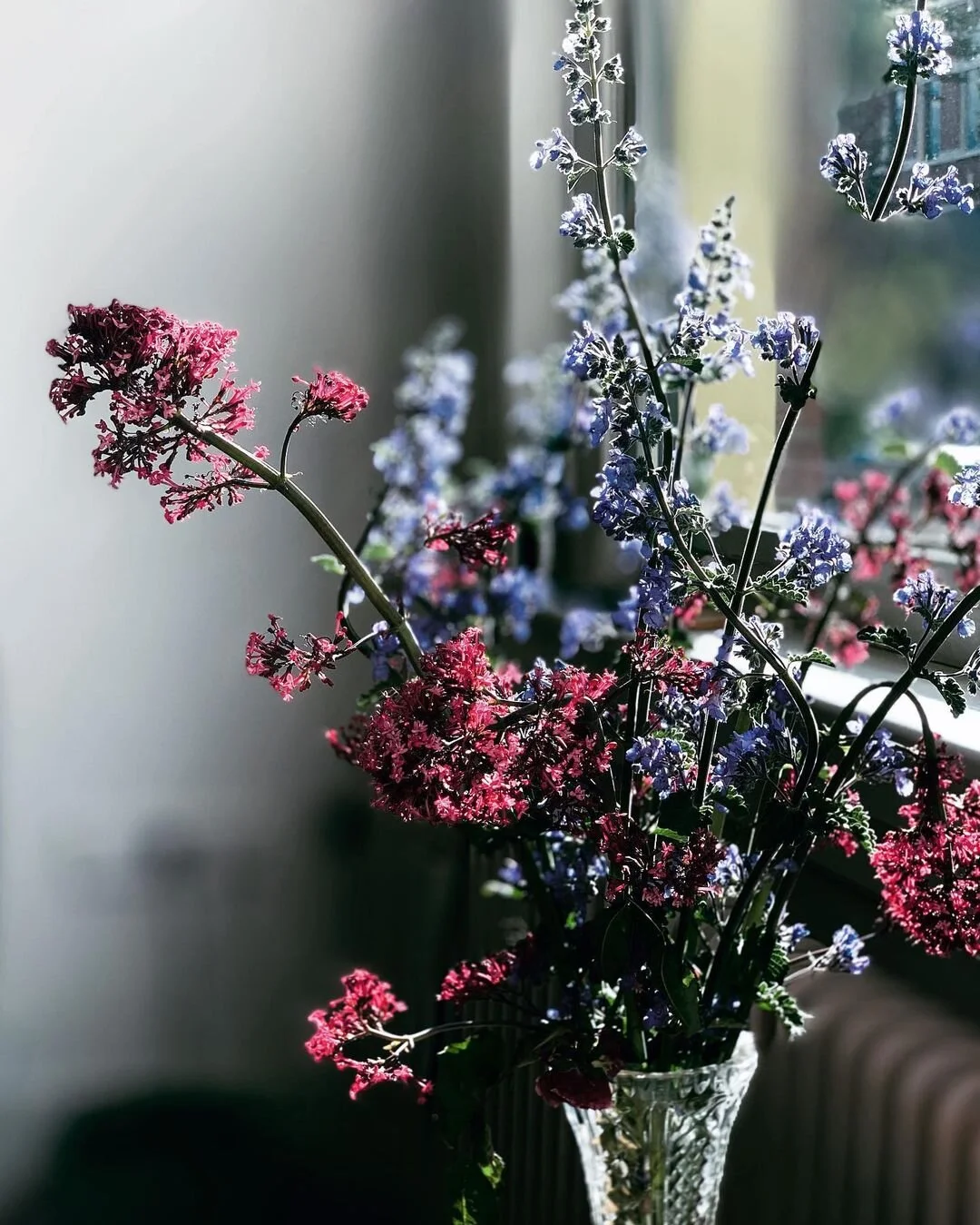 sander-heezen-fotograaf-bloemen-roze-blauw-grijze-achtergrond.jpg