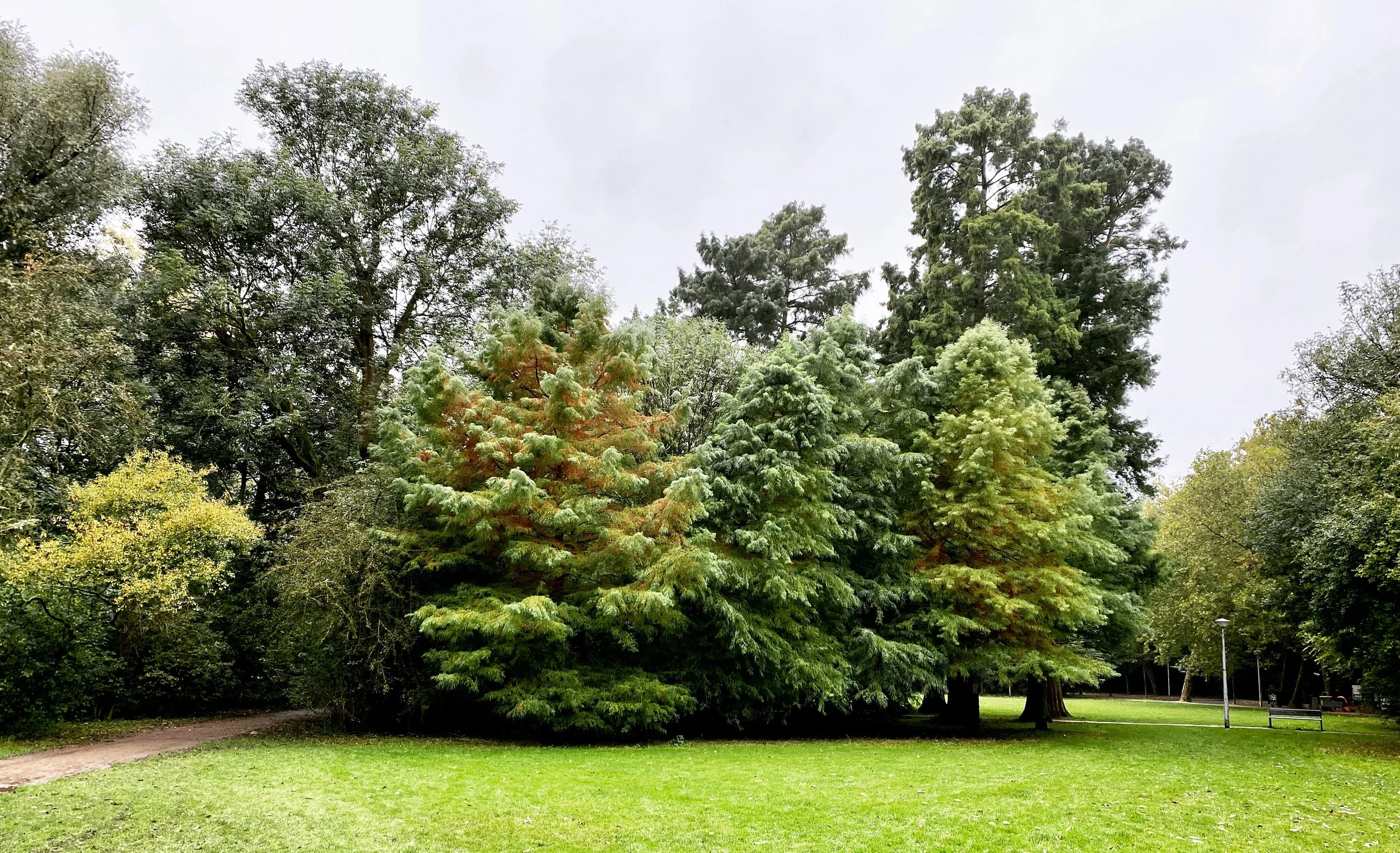 A75A837D-EF46-4F10-86D0-0D4ABD05F7E8 2.JPG