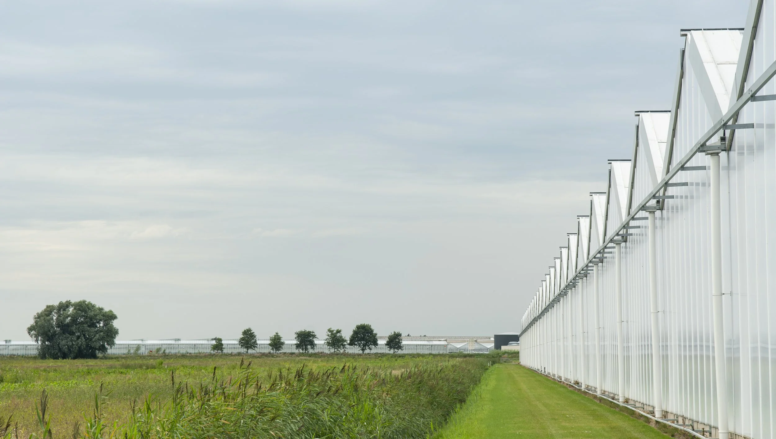 delta lloyd_brochuresDSC_3687.jpg
