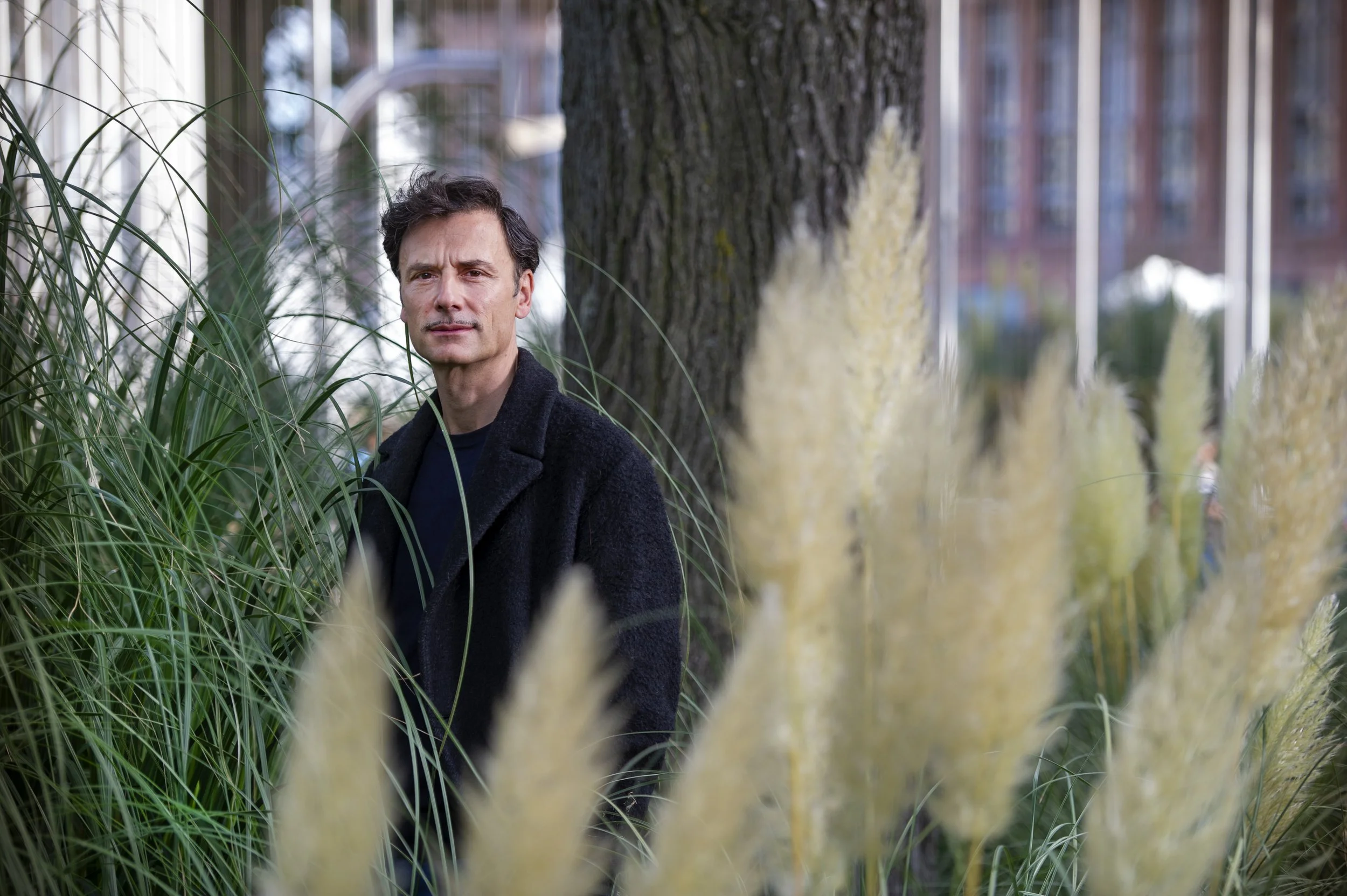 frank meester