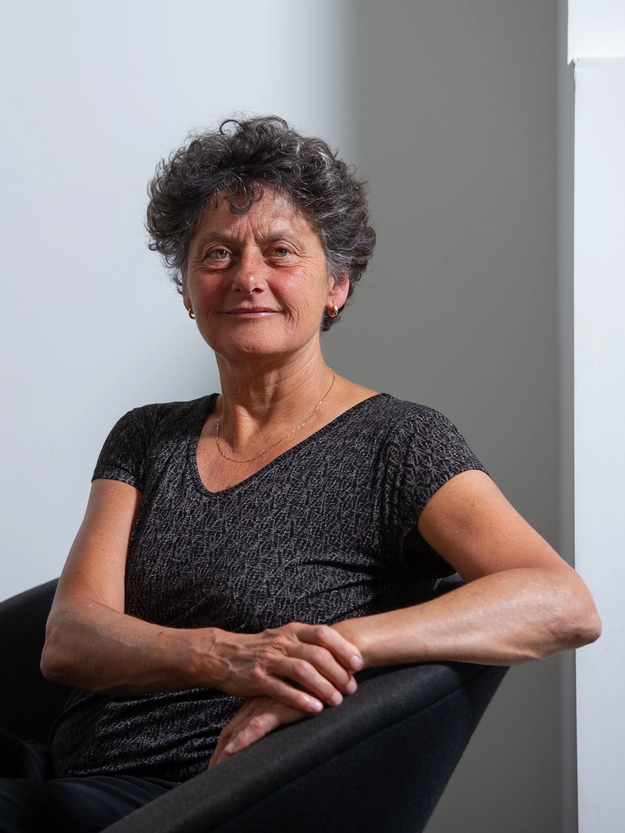 tineke strik, politica europees parlement pro
