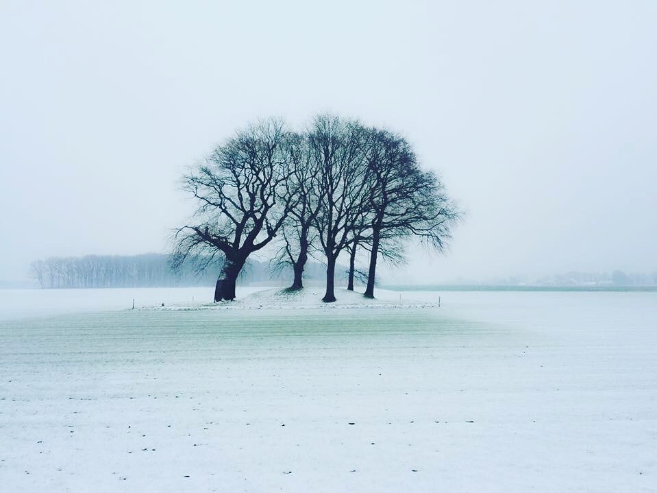 sander-heezen-fotograaf-landschap-sneeuw-donkere-bomen.jpg