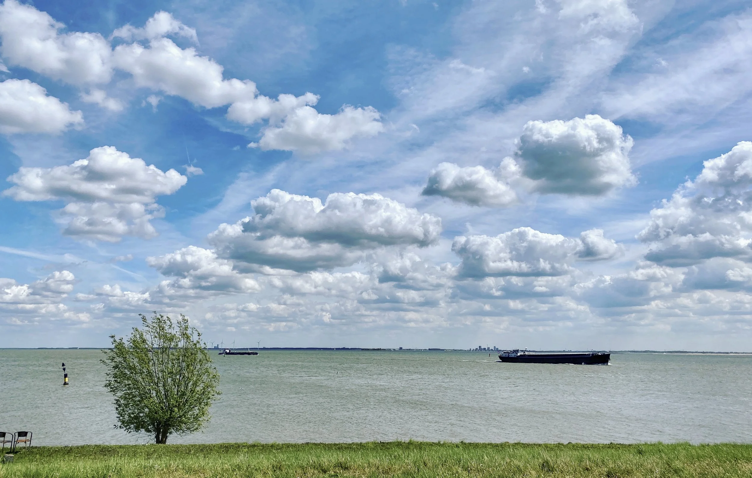 w_68D954FE-006E-45A4-8B6A-E0337F892A6A.jpg