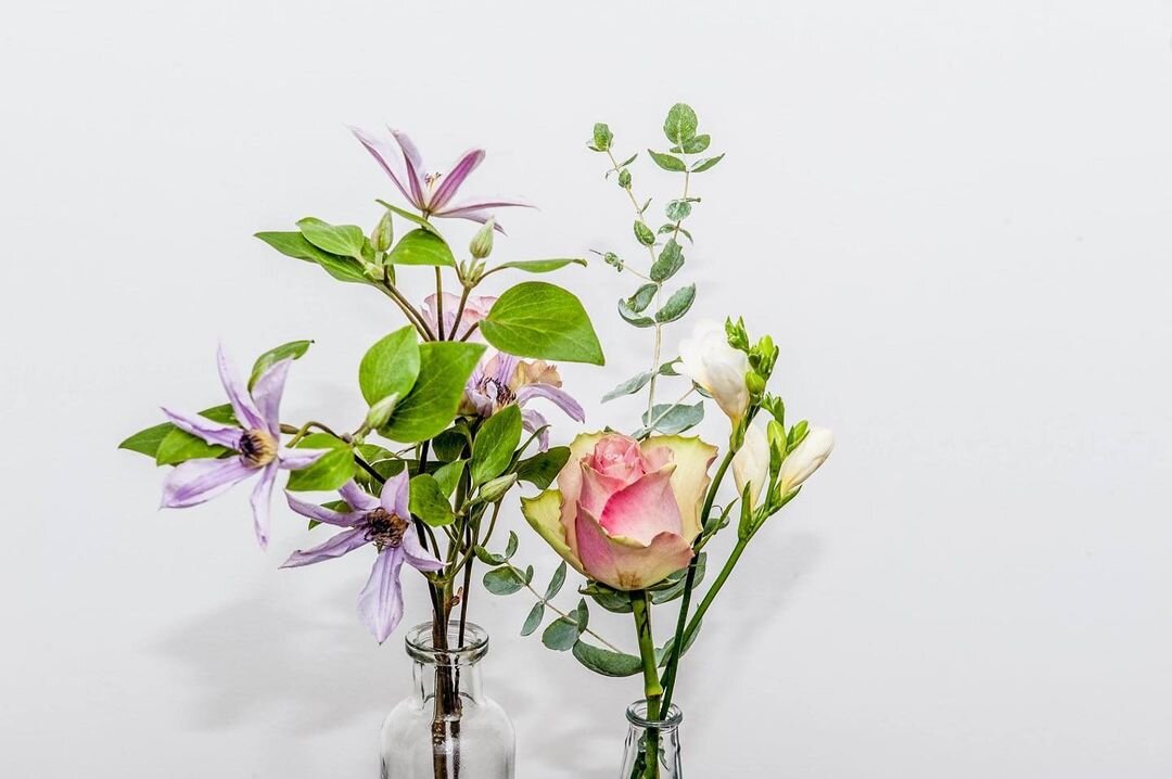 sander-heezen-fotograaf-bloemen-roze-paars-witte-achtergrond.jpg