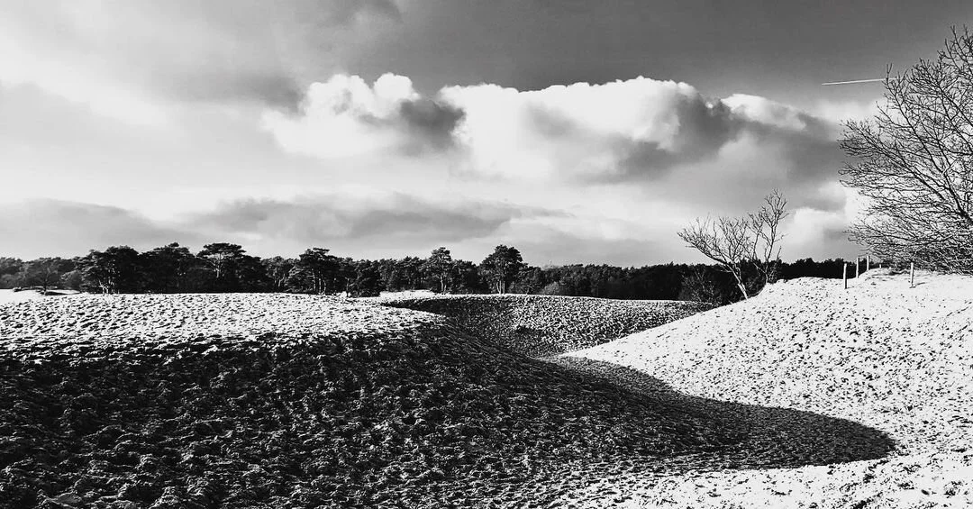 sander-heezen-fotograaf-landschap-zwart-wit-duin.jpg