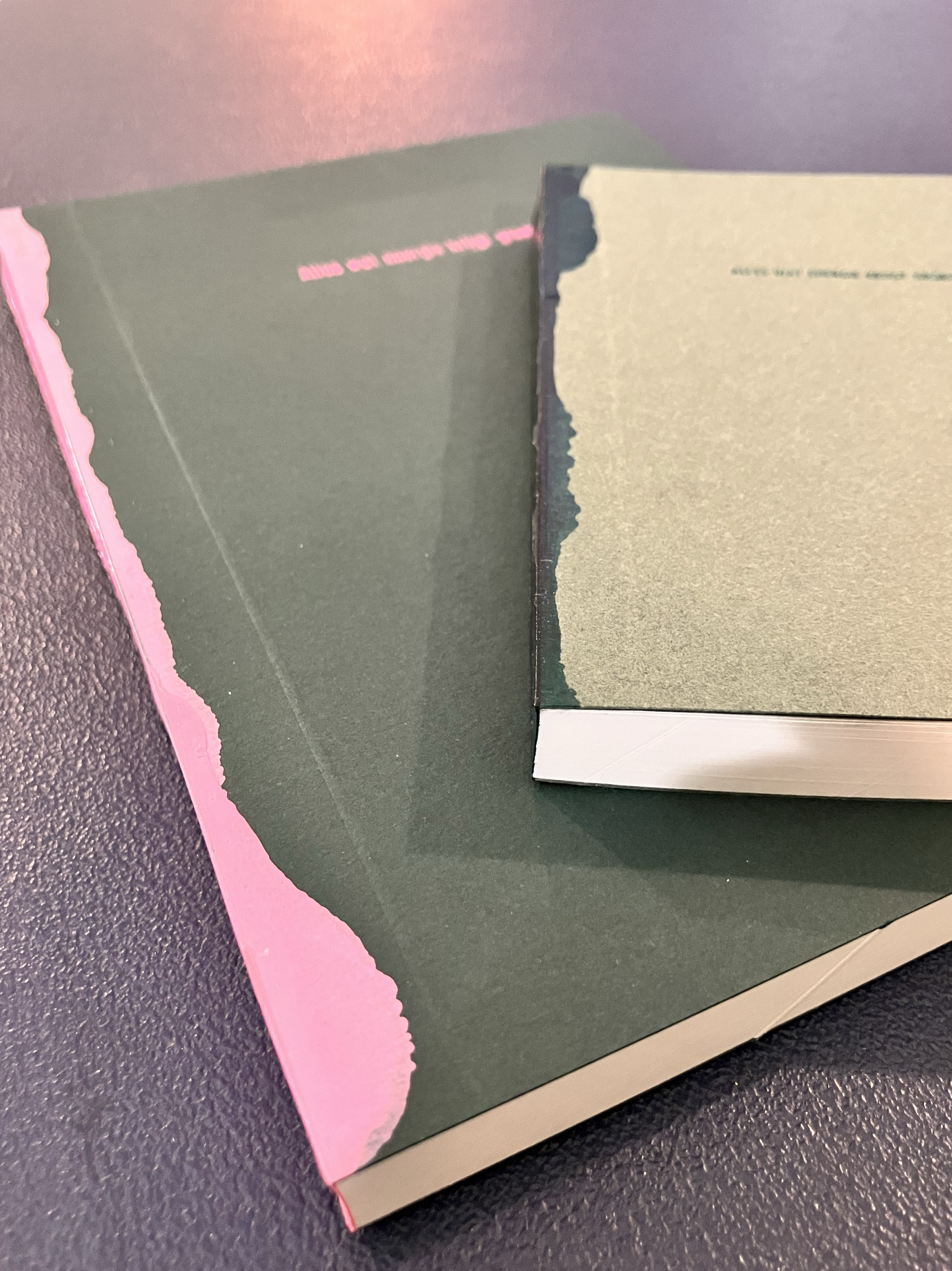 sara delesie notebooks