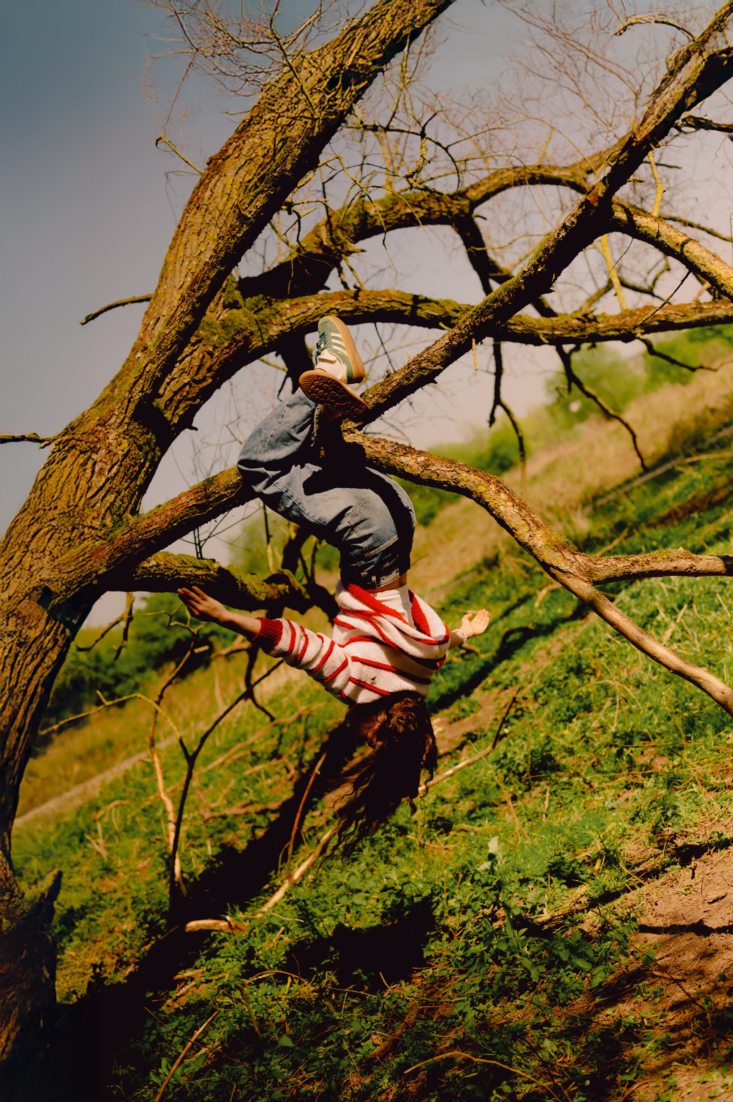 Olya_tree.jpg