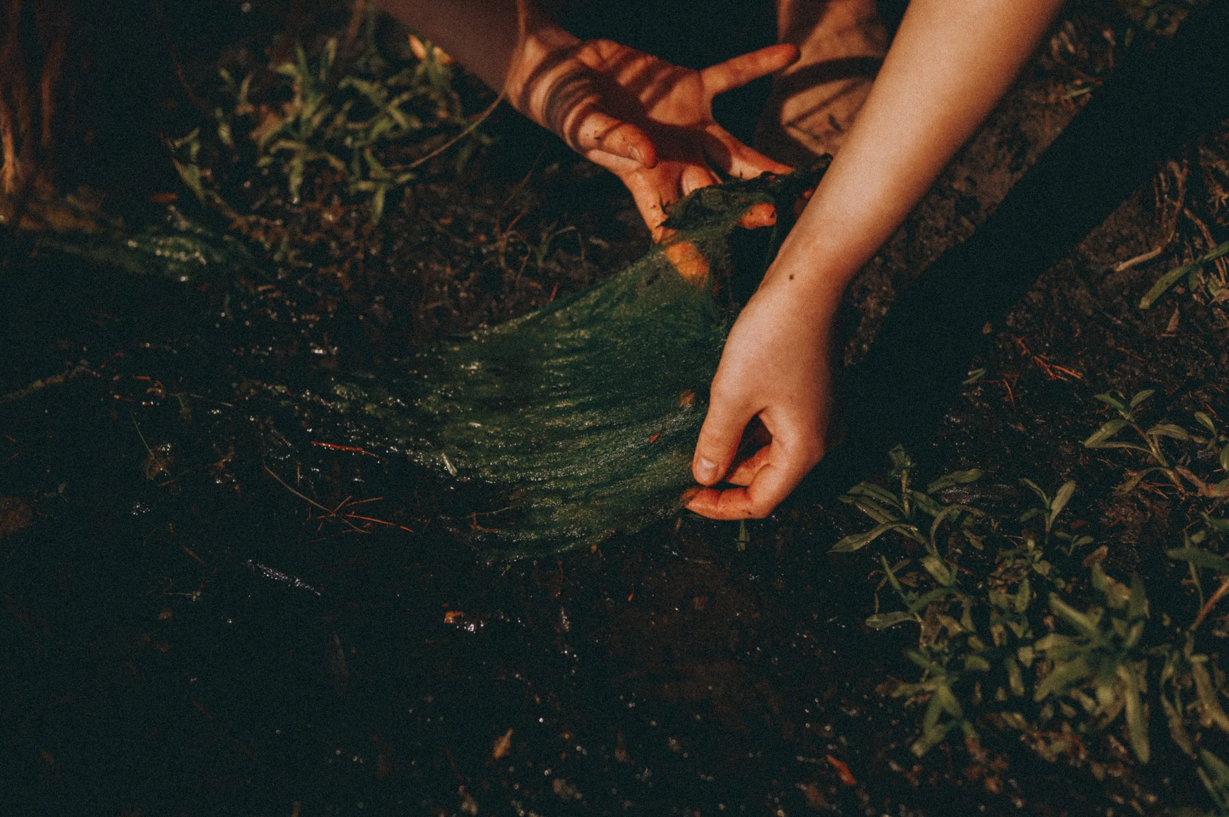 C6.jpg