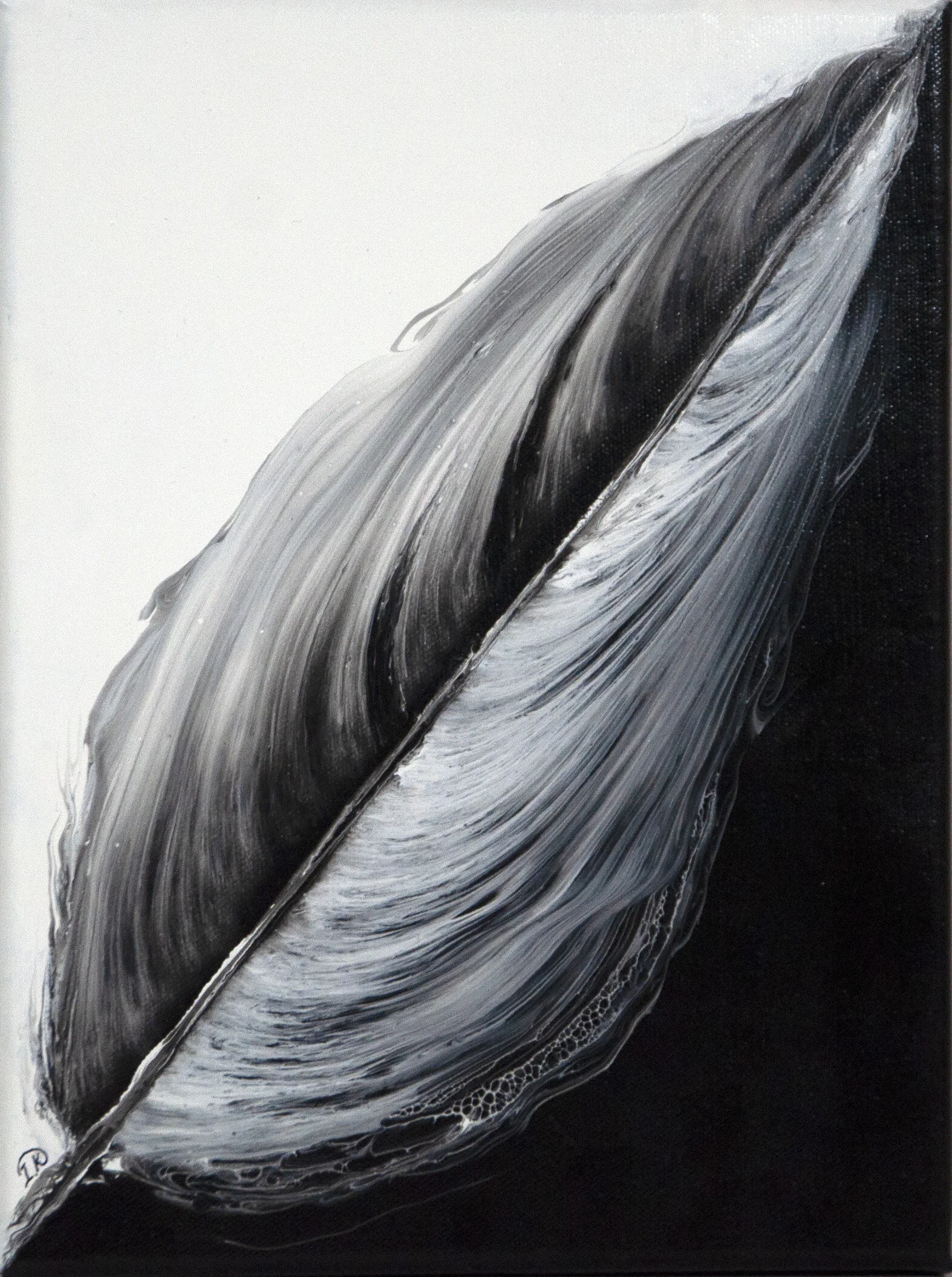 Black in White Feather