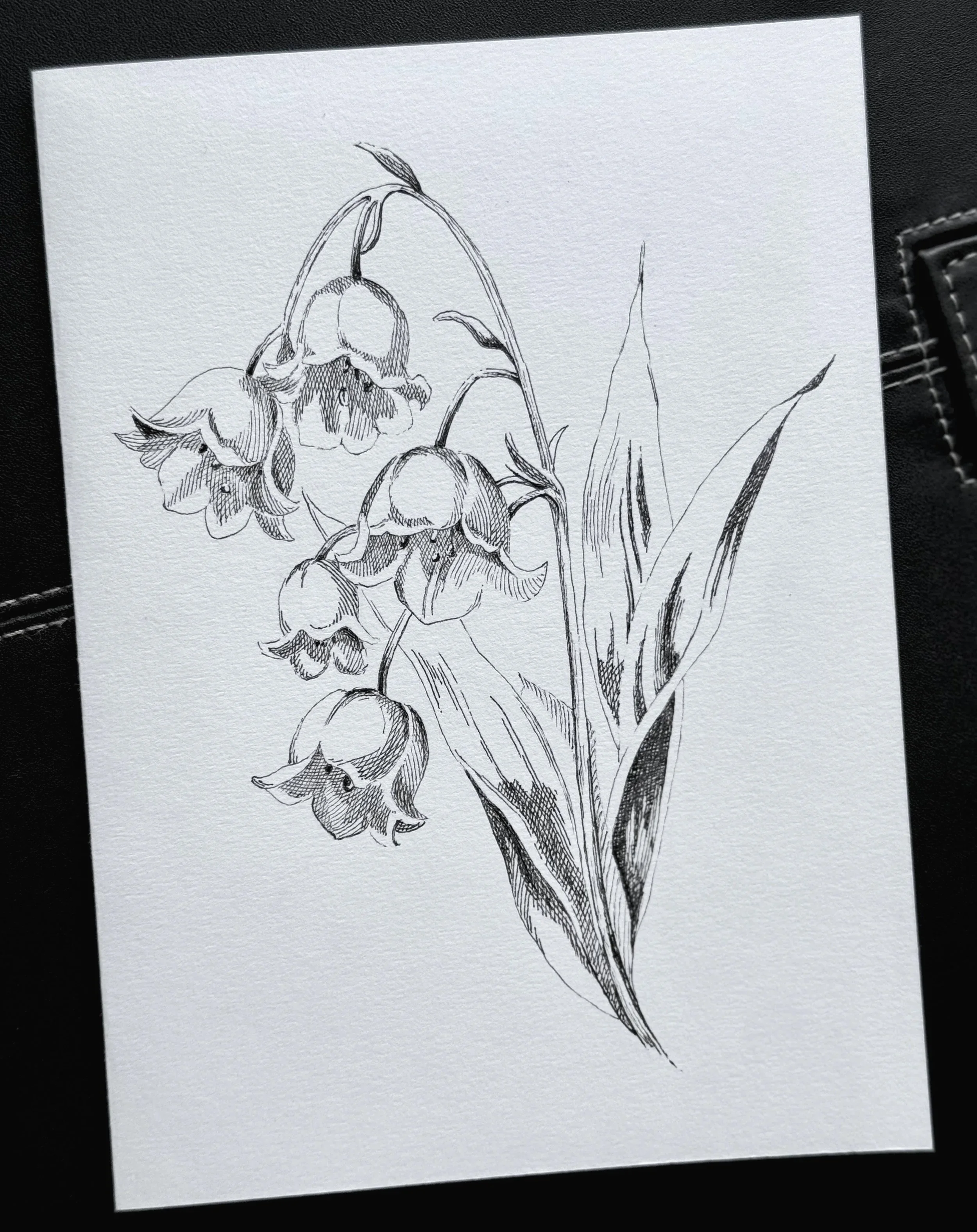 Lilly of the Valley