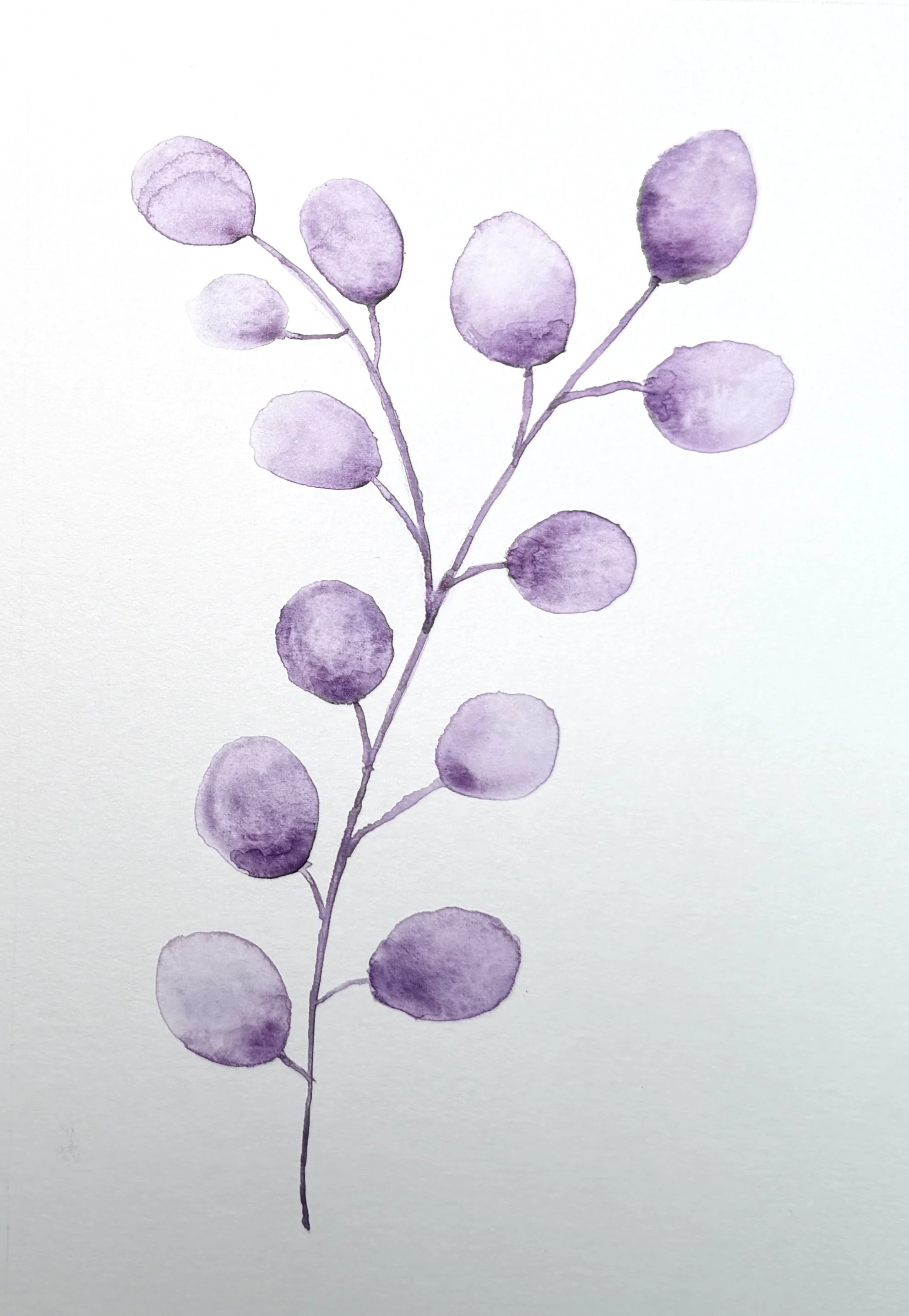 Purple Branch