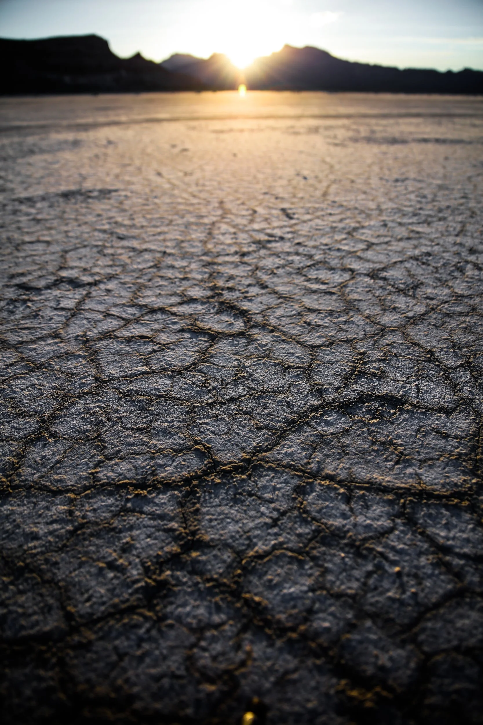 The Sustainability of Sustainable Investing