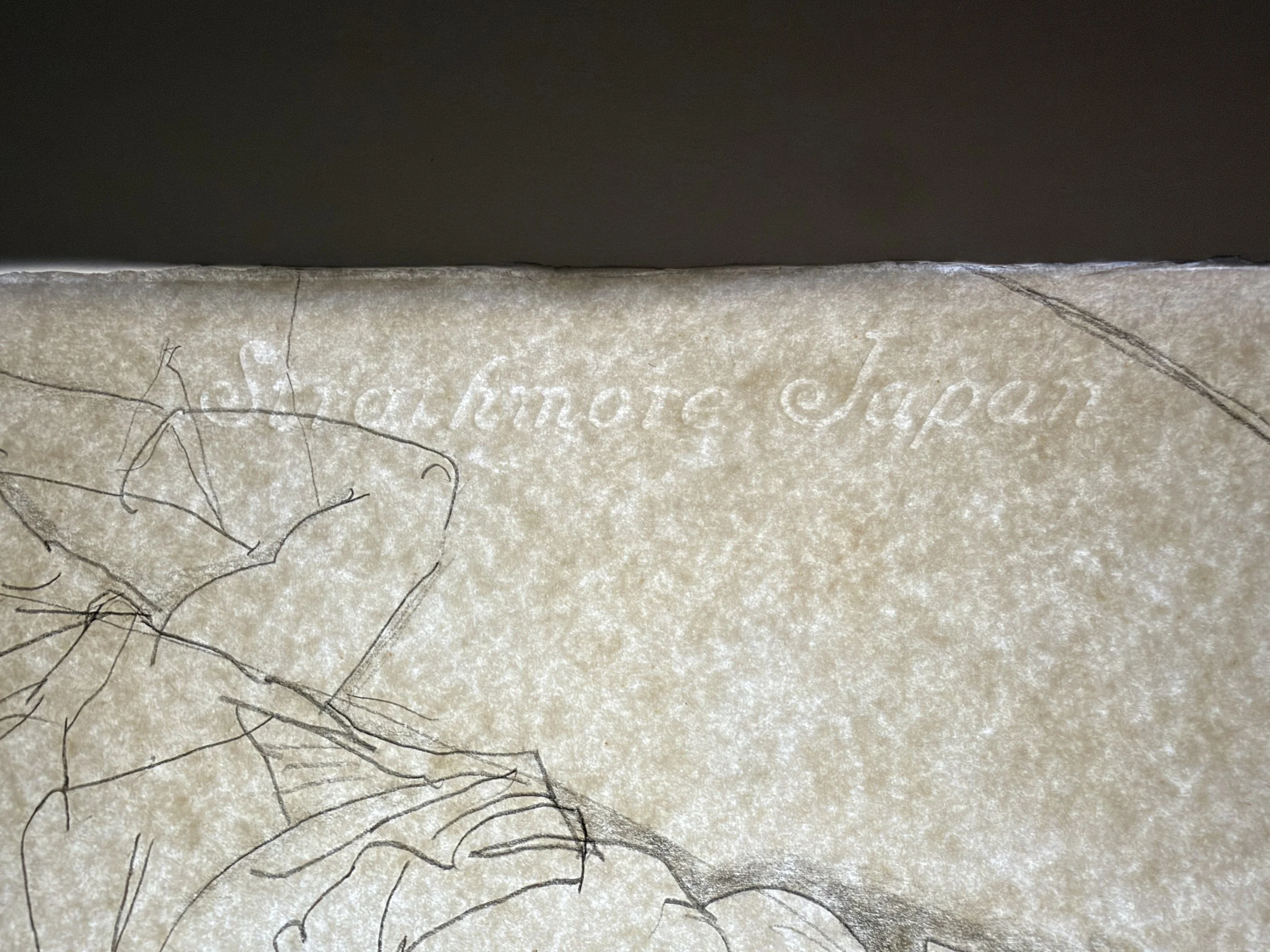 Paper fibre and mill watermark, detail