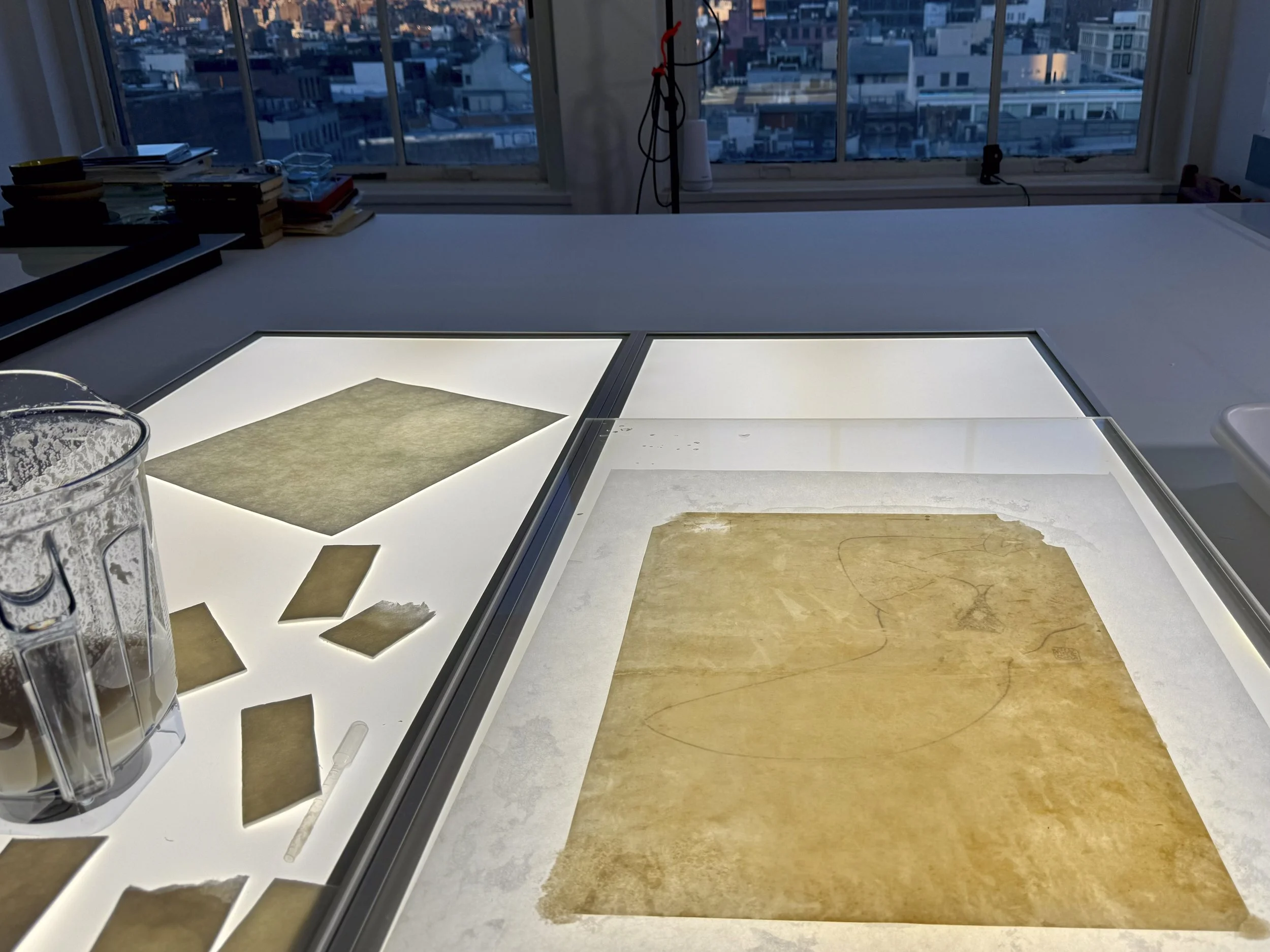 Pulp fill in progress on the light table