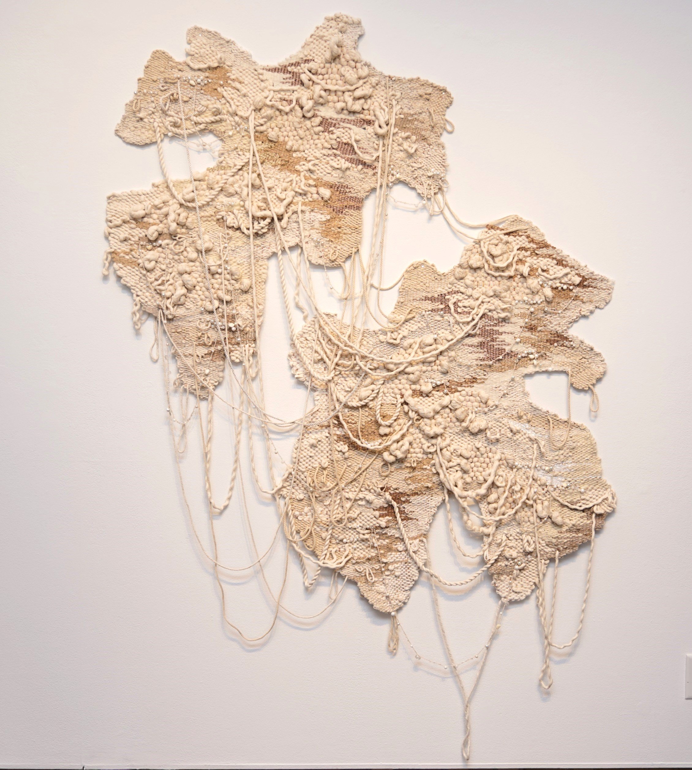 Entangled Debris
