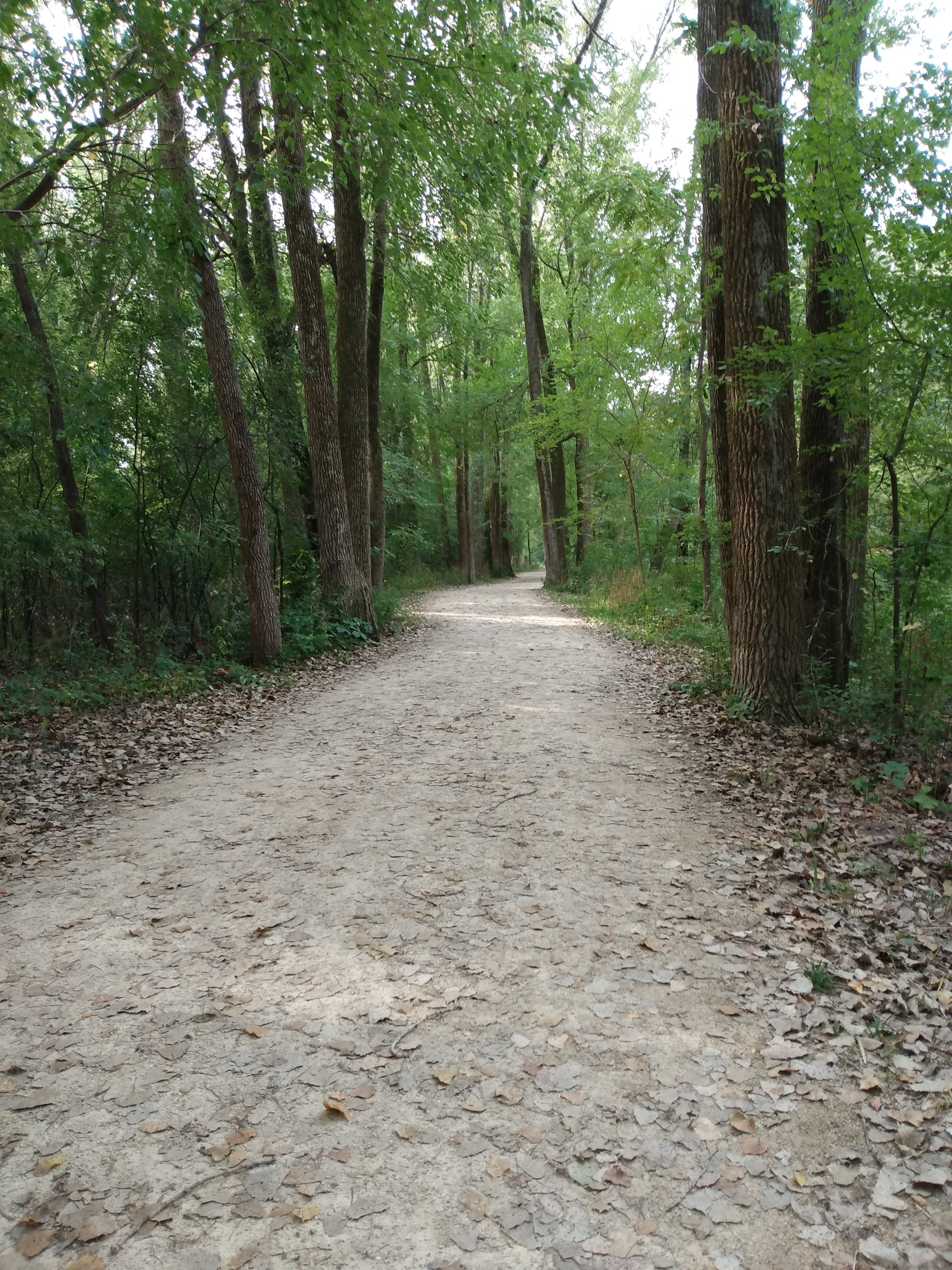 hiking trail at Pheasant Branch conservancy