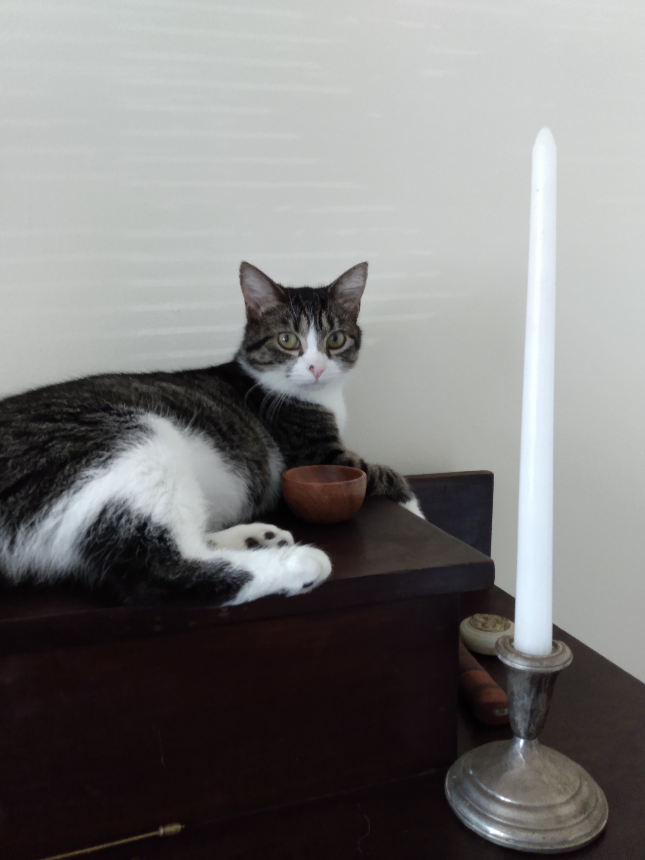 My cat, Pixie, is drawn to my altar and candles! Photo by author