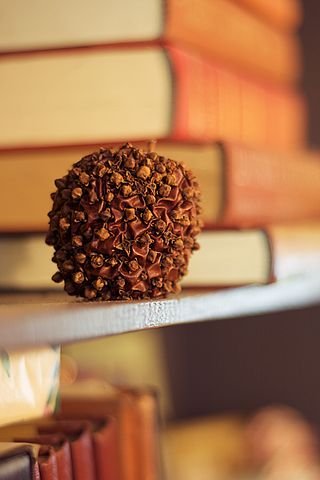 320px-Clove_apple_on_book_shelf.jpg