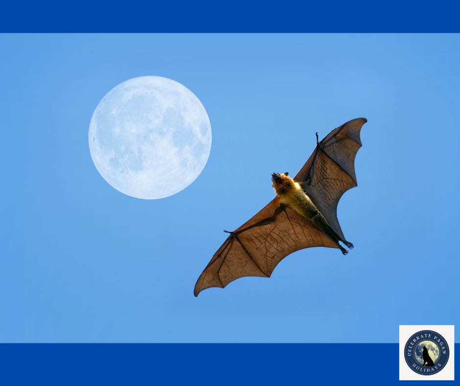 Bat Spirit Animal: A Complete Guide Symbolism, Magic, and Spiritual Meaning