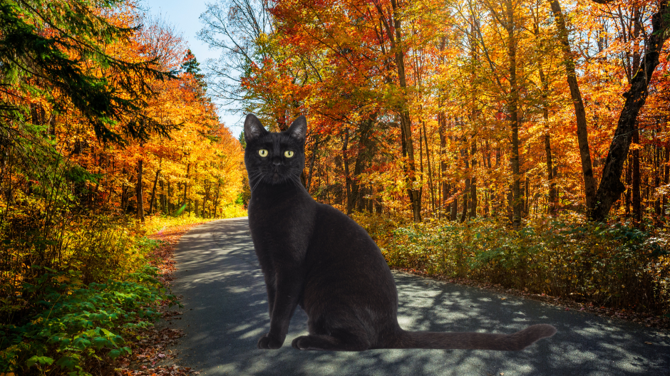 October Pagan Celebrations, Magic, and Lunar Activity