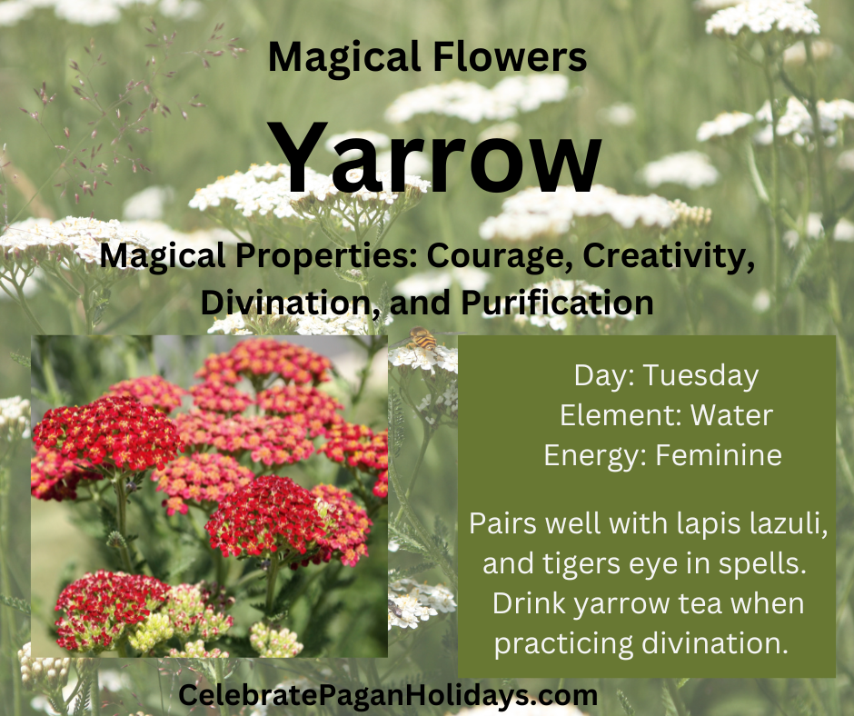 110 Magical Flowers and How To Use Them — Celebrate Pagan Holidays