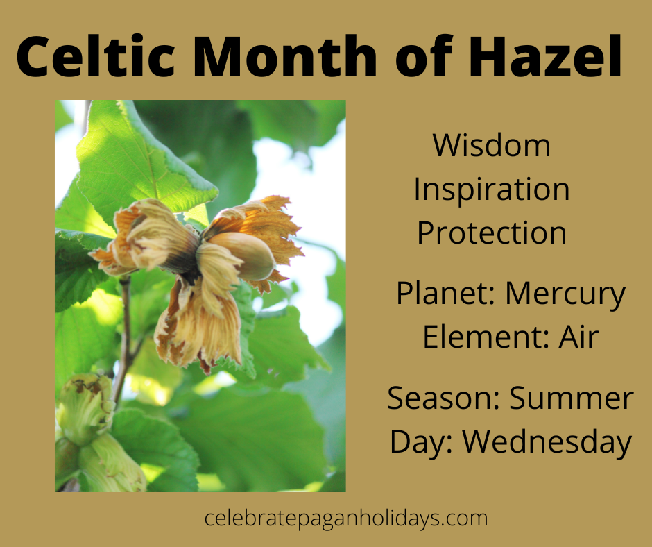 Celtic Tree Month Hazel August 5 September 1 — Celebrate Pagan Holidays