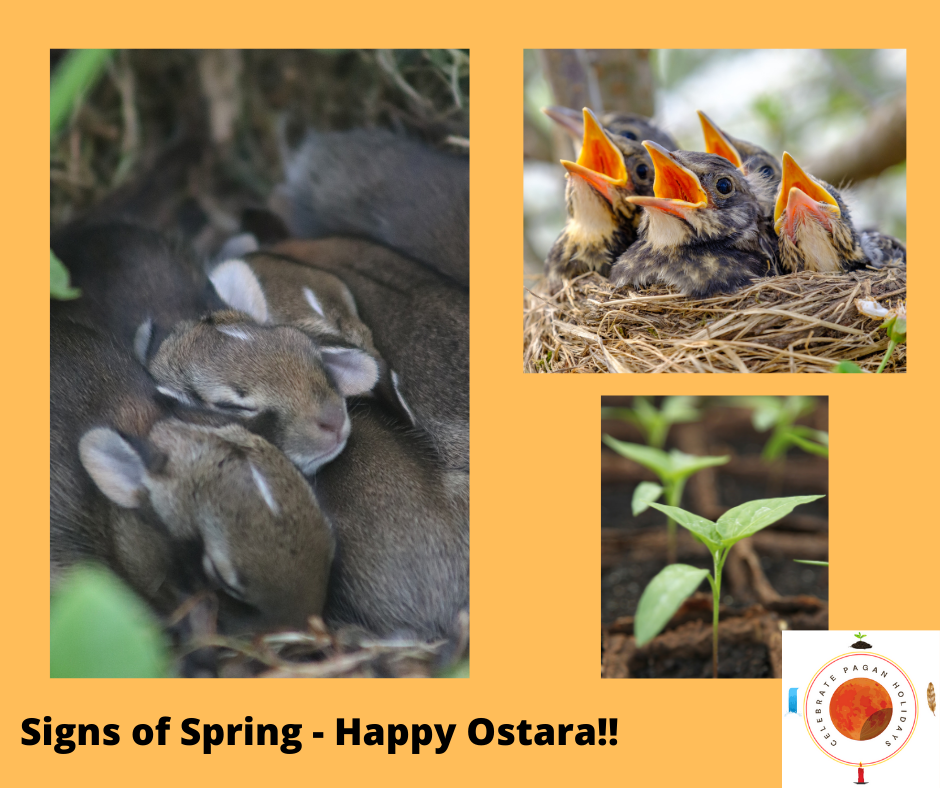 Do Pagans Celebrate Easter? — Celebrate Pagan Holidays