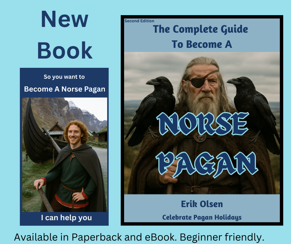 Odin Norse God book