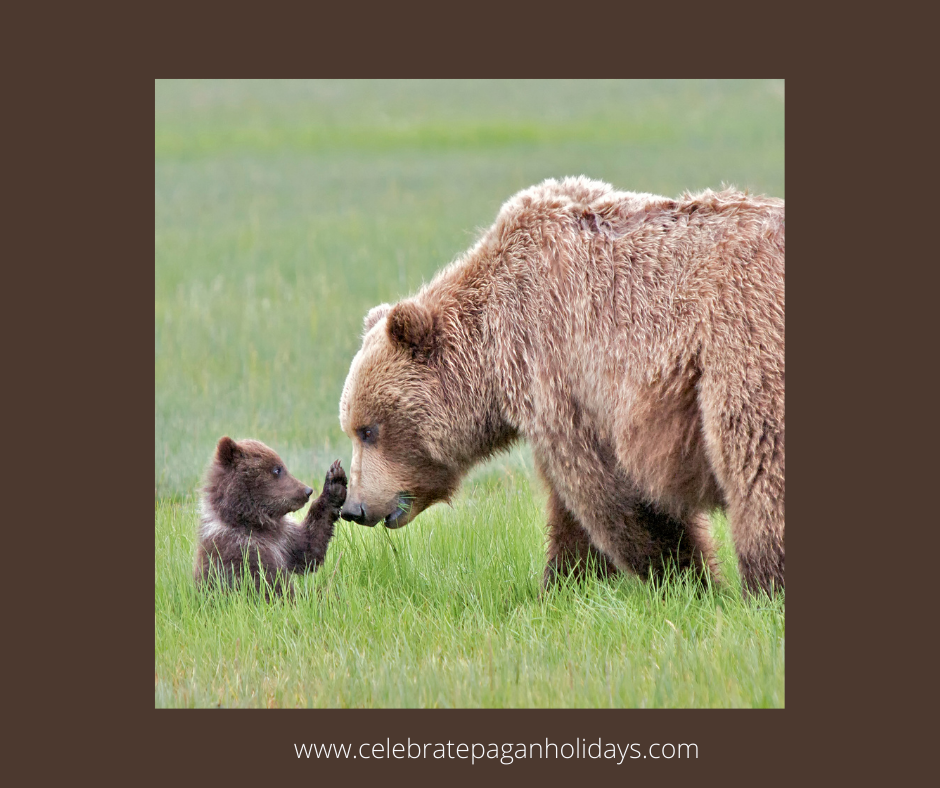 Bear Spirit Animal: A Complete Guide — Celebrate Pagan Holidays
