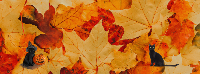 cph store banner (5).png