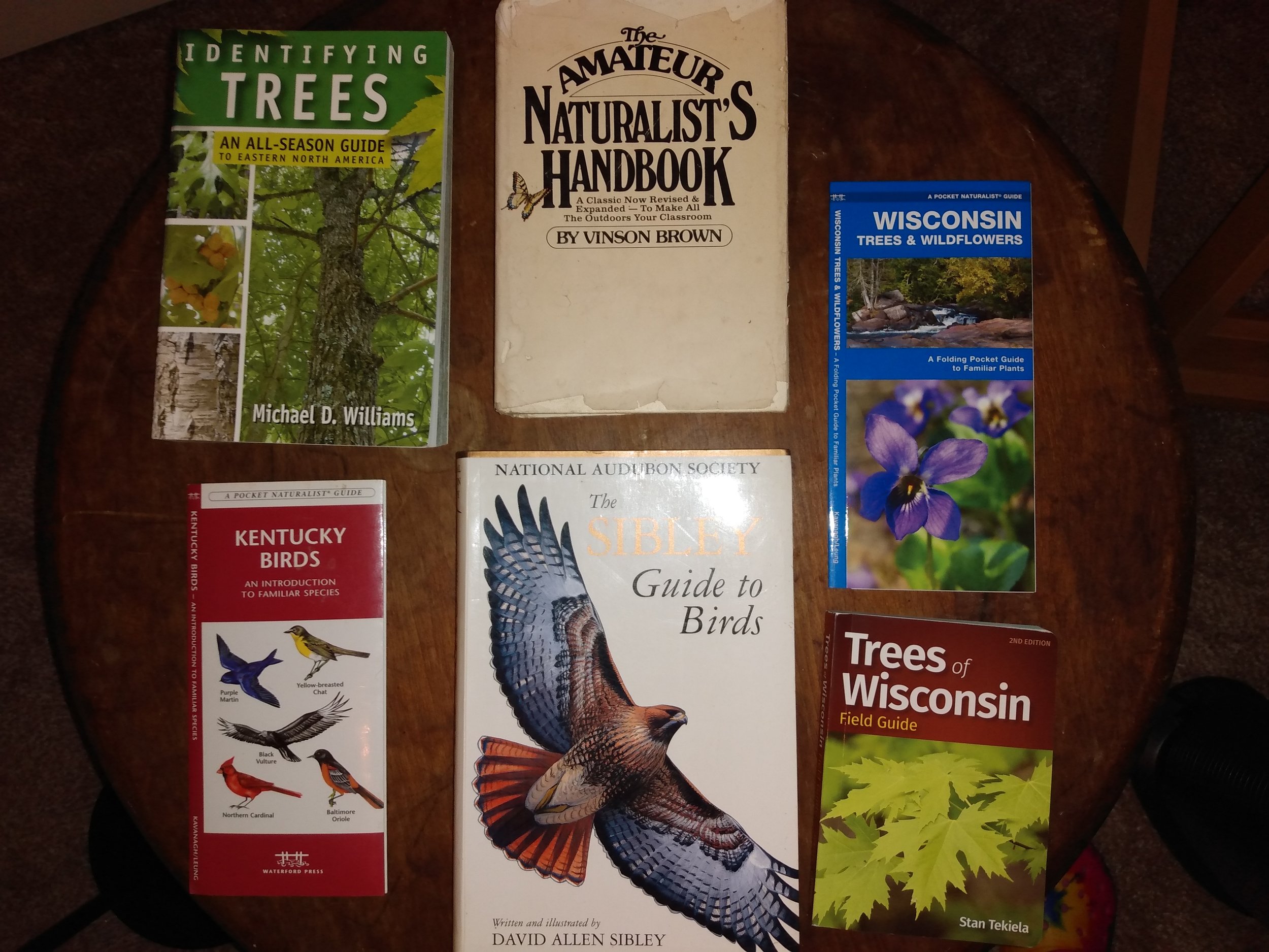 books to help green witch and naturalist