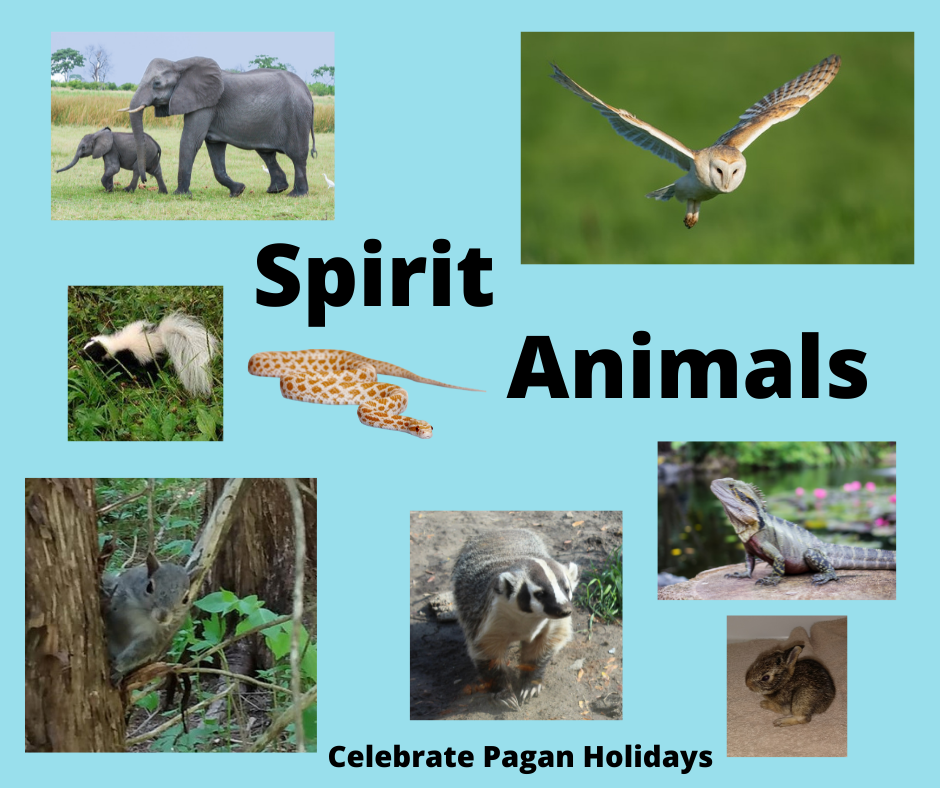 167 Animal Spirit Guides and What They Mean To You — Celebrate Pagan  Holidays