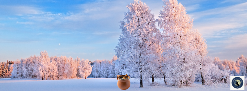 cph store banner (3).png