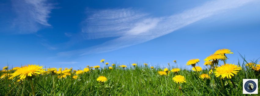 cph store banner (1).png