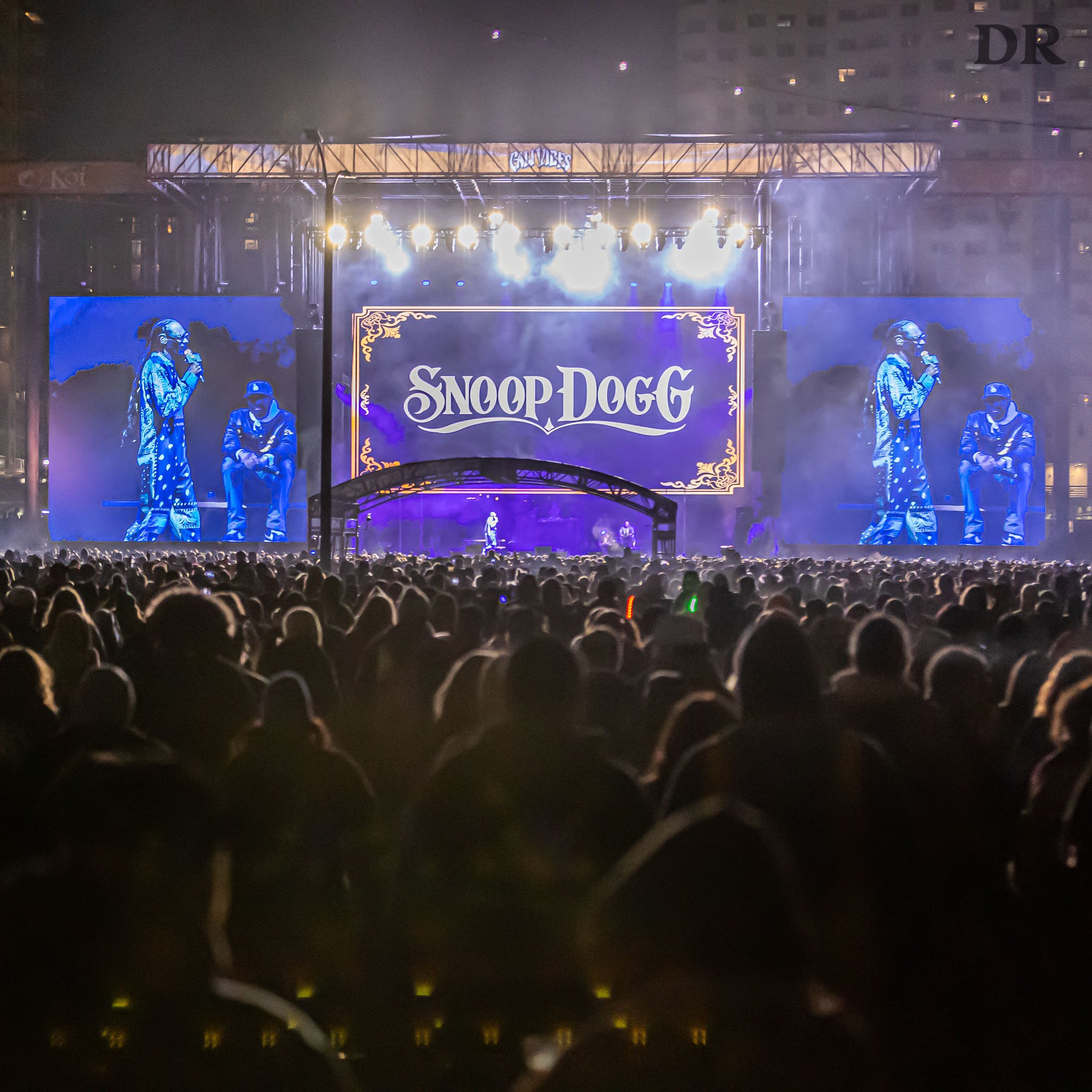 9 - Snoop Dogg with Crowd.jpg