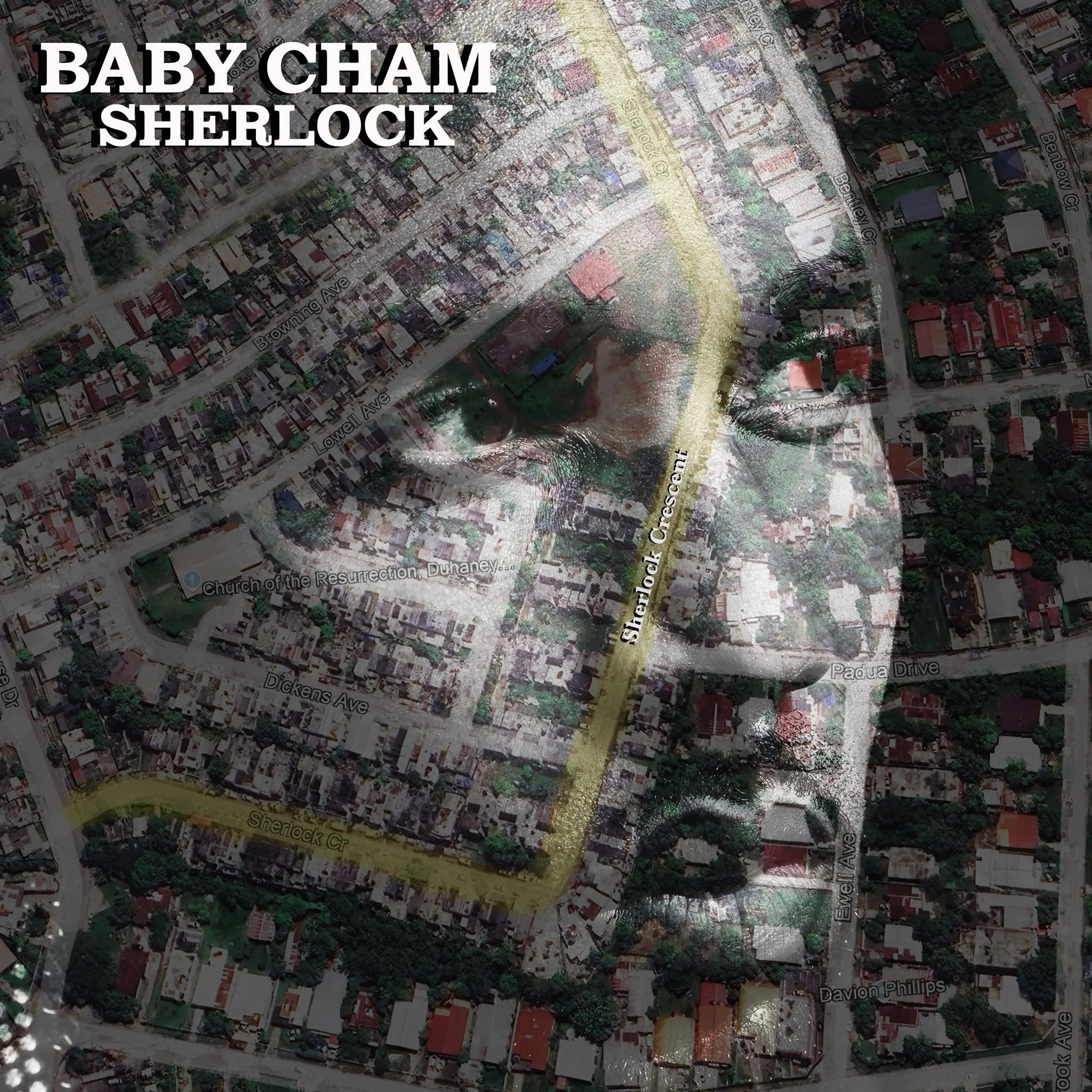 Cham’s Sherlock: Riddims, Resilience, and Pure Vibes