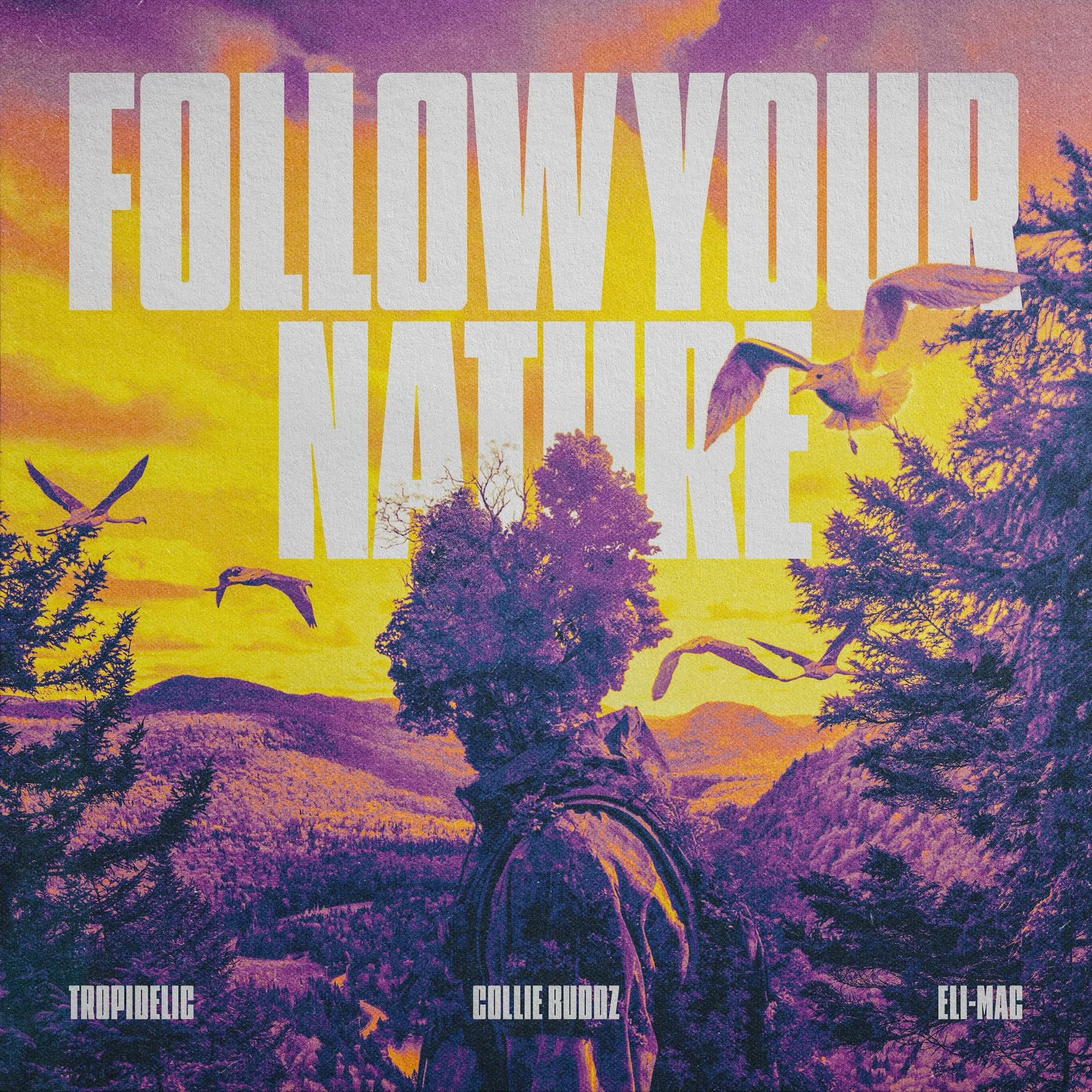Tropidelic has teamed up with Collie Buddz and Eli-Mac for their latest single, "Follow Your Nature"