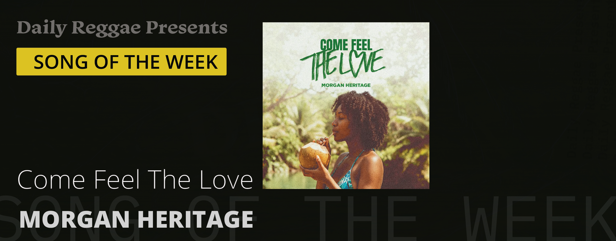 Song of the Week: “Come Feel the Love” with Morgan Heritage’s beautiful reggae music