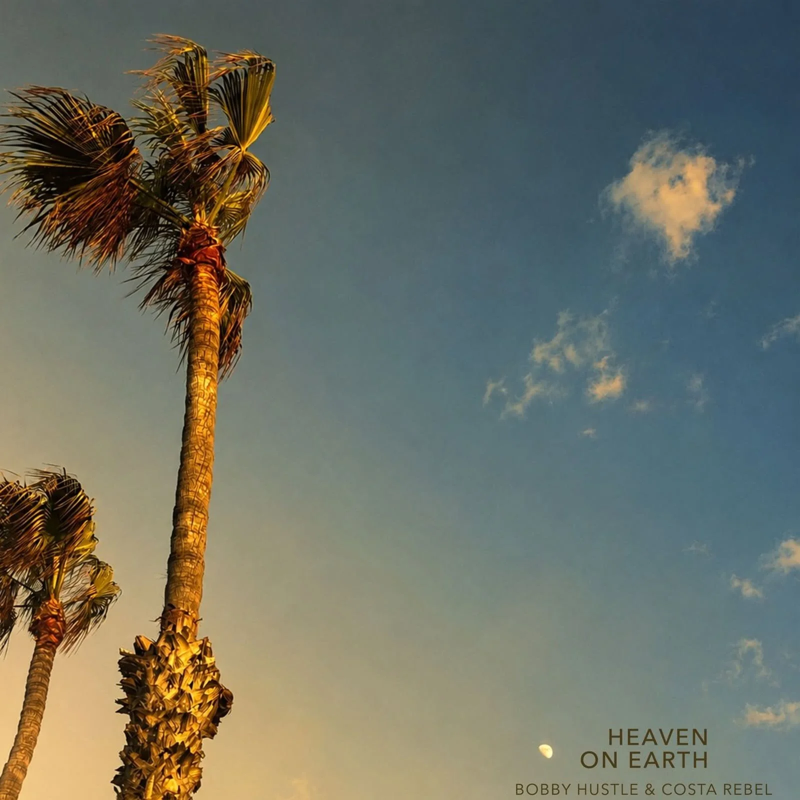 “Heaven on Earth” is a beautiful new reggae song by Bobby Hustle and Costa Rebel&nbsp;