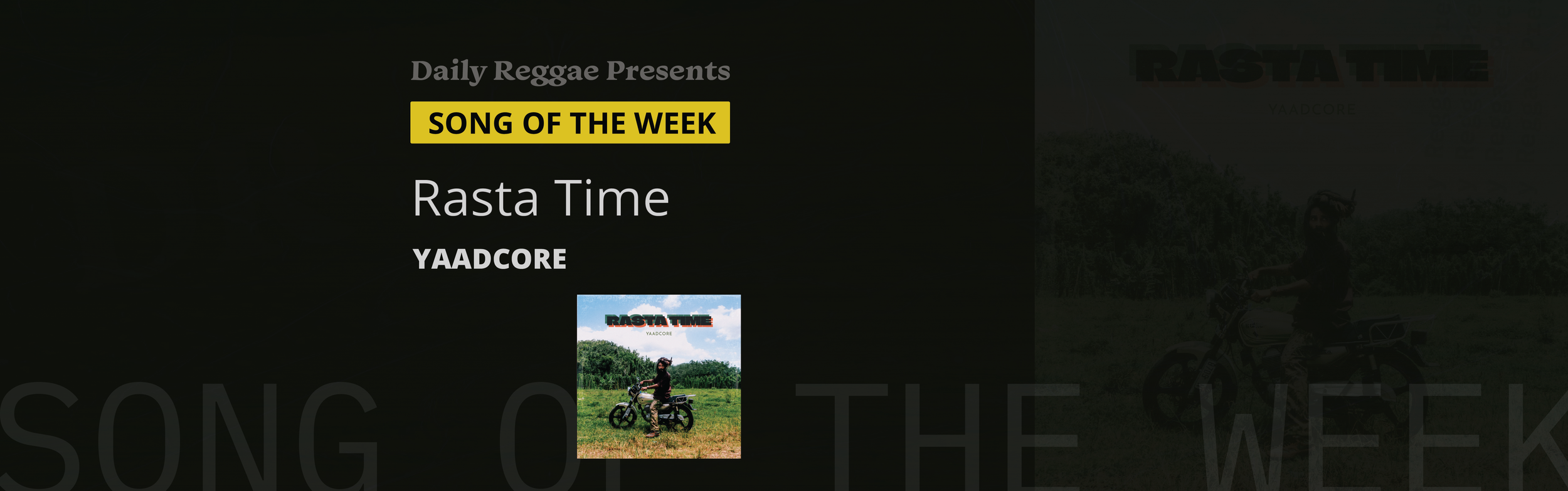 Artist of the Month: Yaardcore