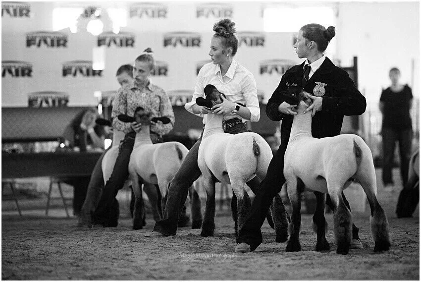 GEM SUMMER CLASSIC — Gem County Fairgrounds