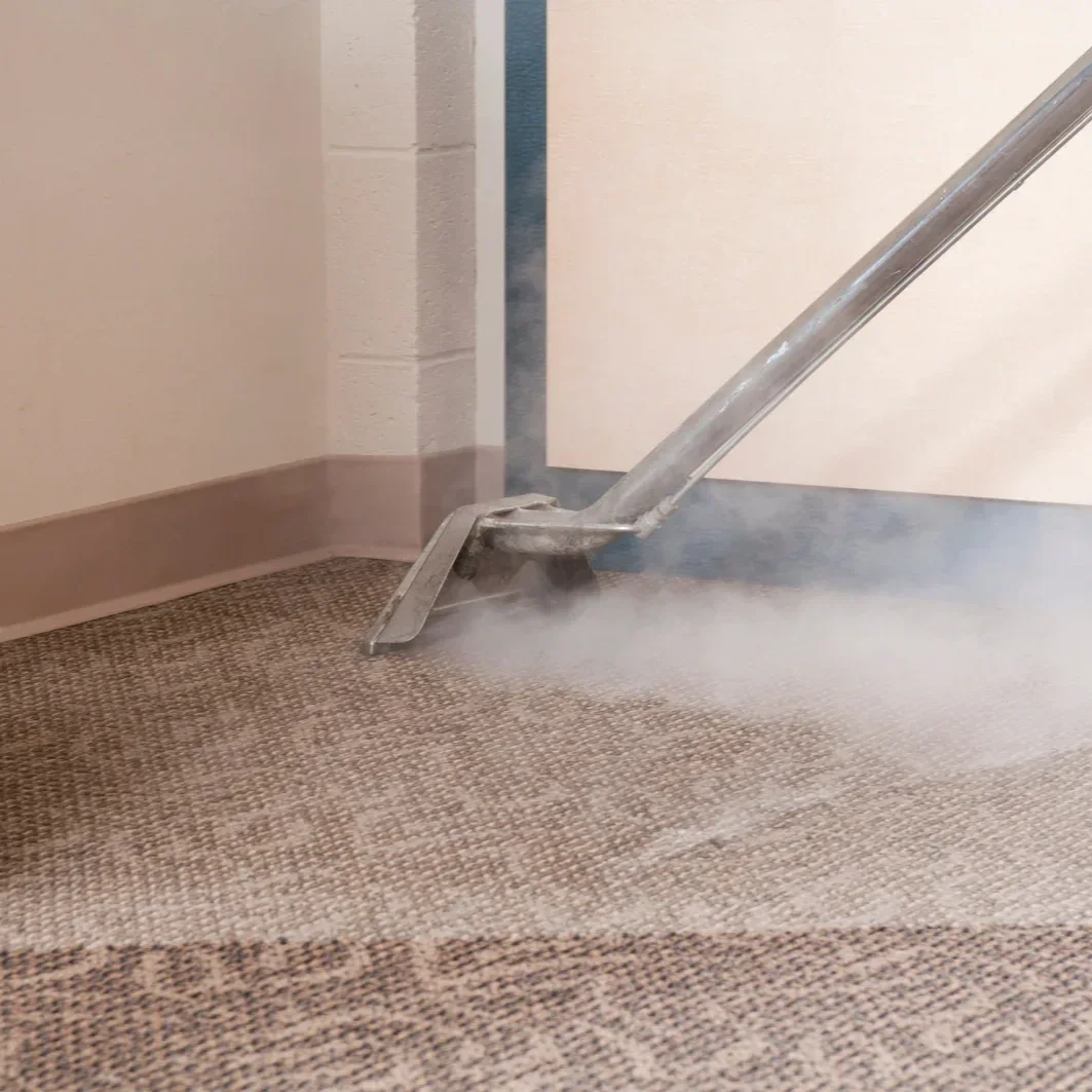 Steam Carpet Cleaning for Deep Dirt Removal and Allergen Reduction